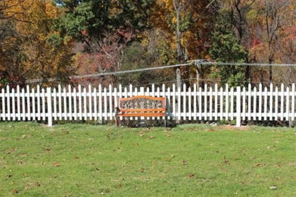 View (from property/room) in Millsap-Baker Estate