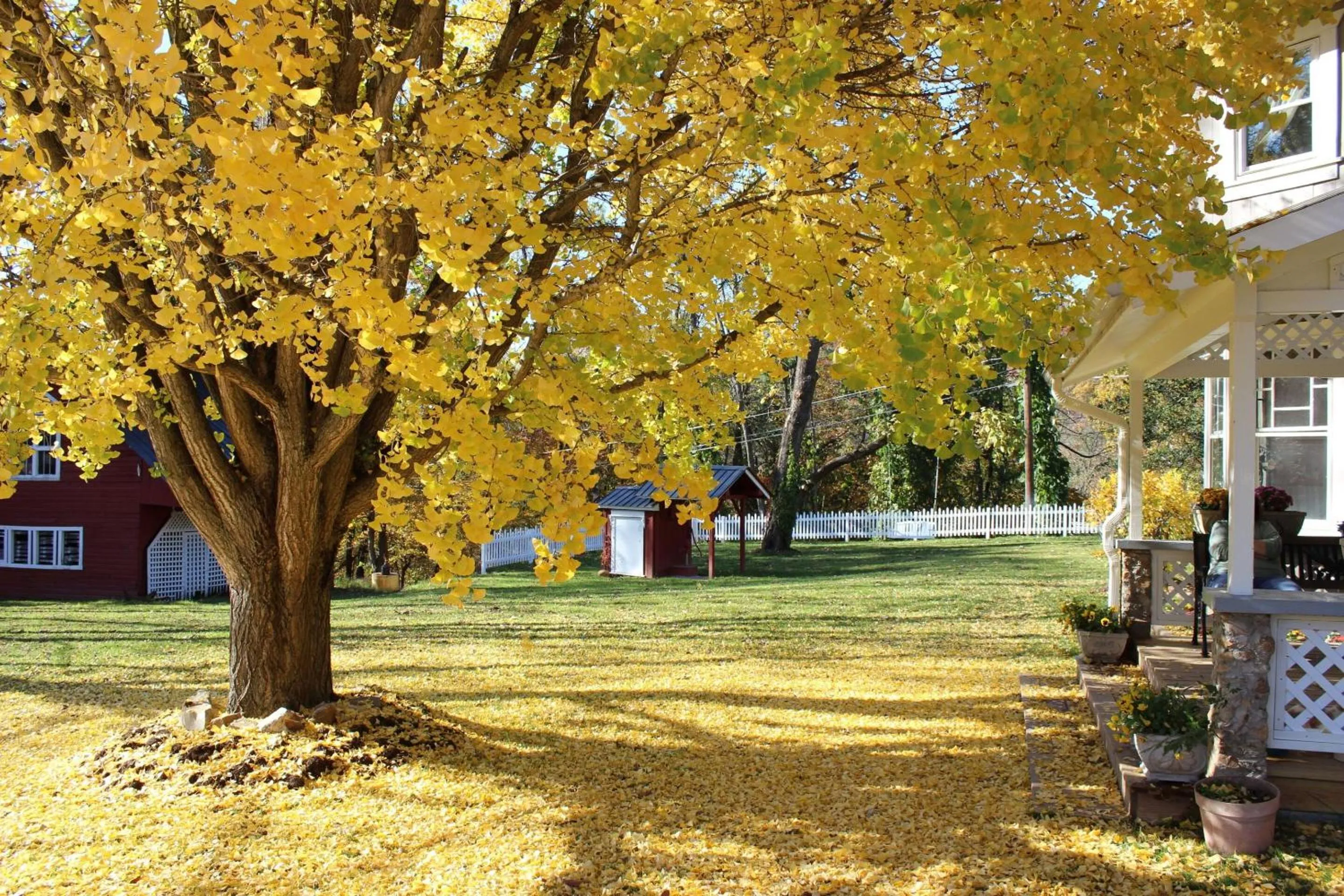 Property building in Millsap-Baker Estate