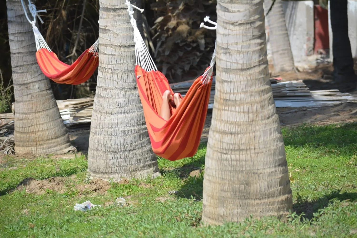 Natural landscape in H0TELIER Home, Máncora