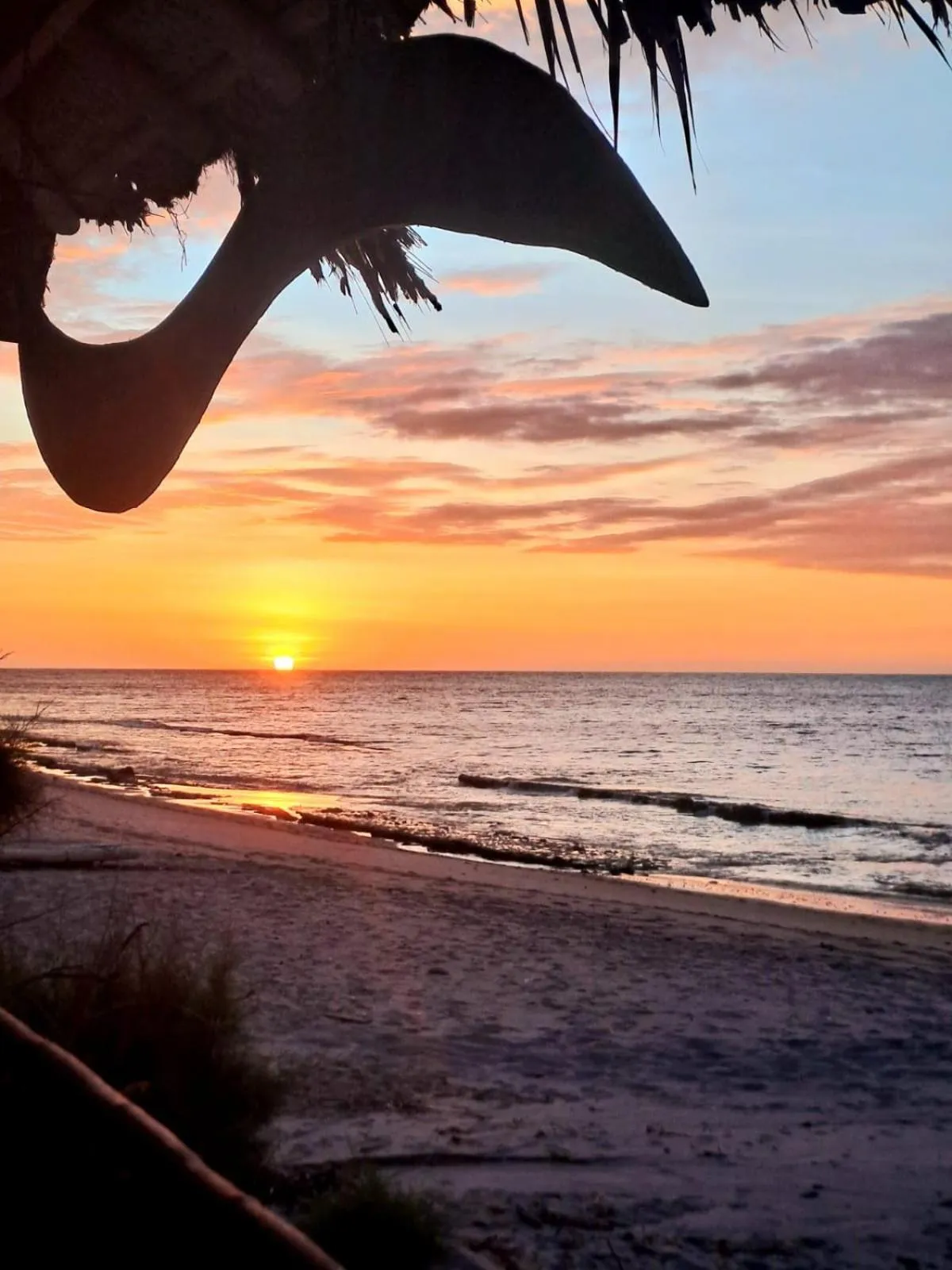 Sea view in H0TELIER Home, Máncora