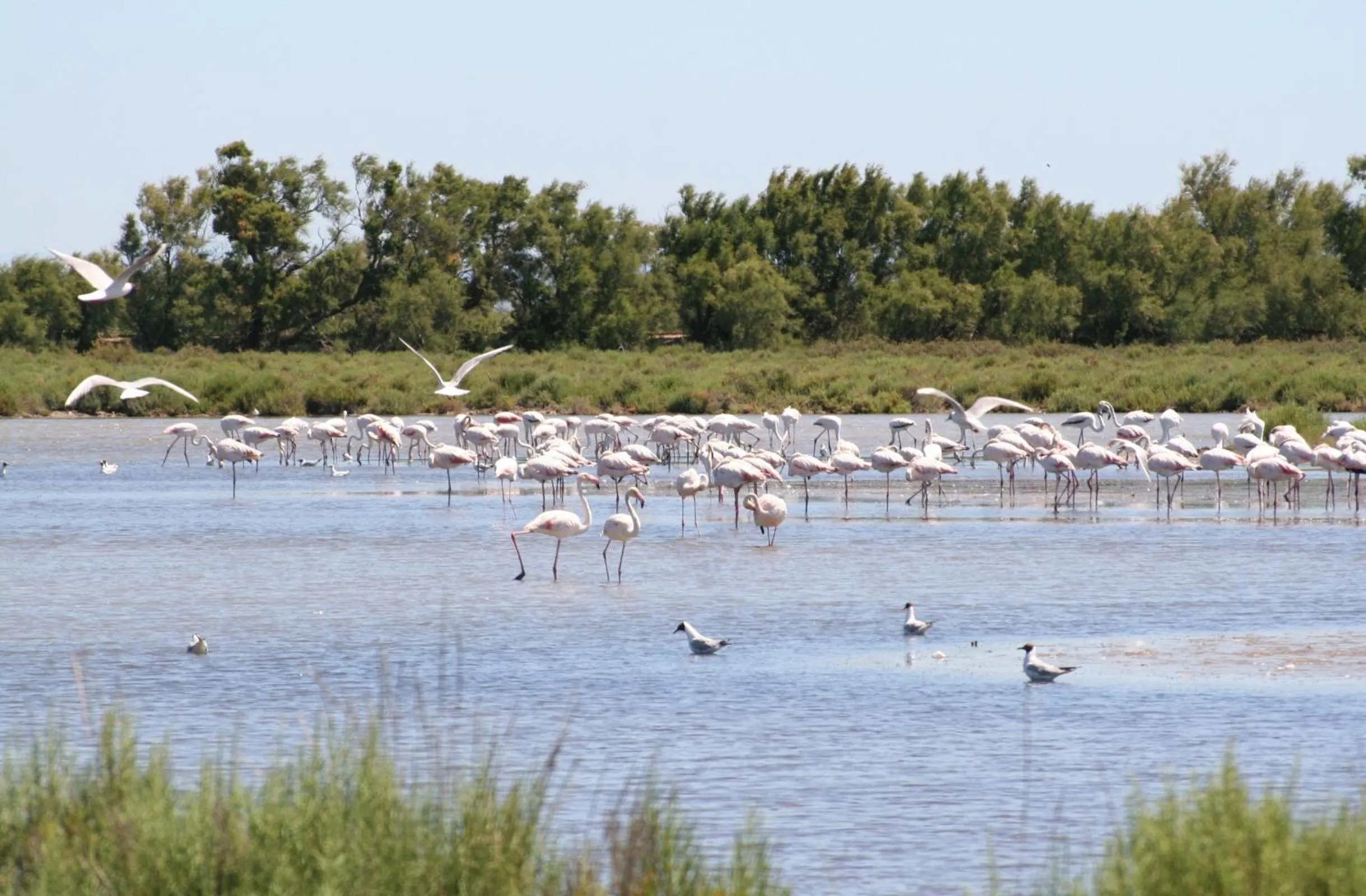 Nearby landmark in Sable & Pampas - Meublé de Tourisme 5 étoiles