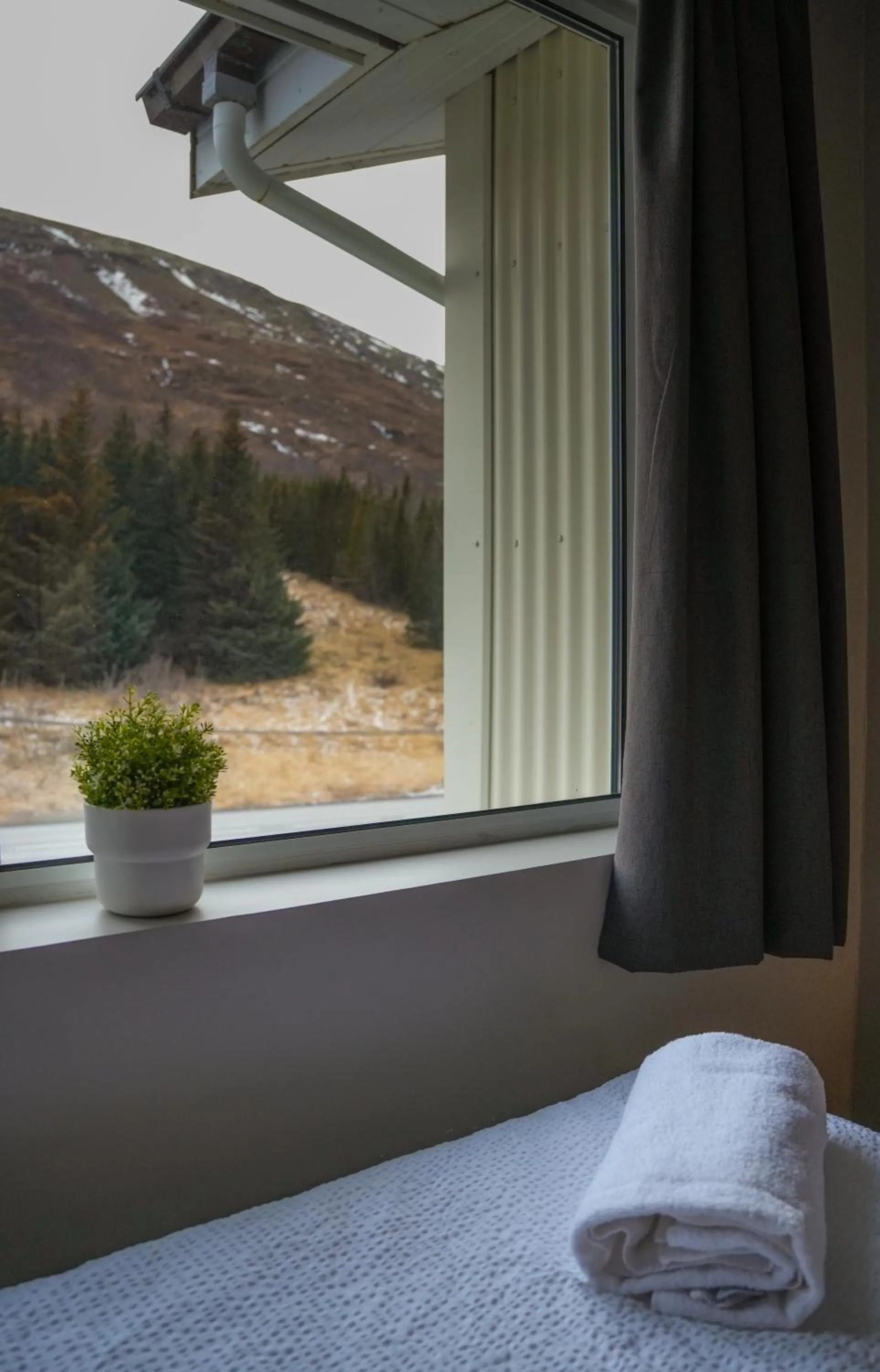 View (from property/room), Bed in Hótel Laugarvatn