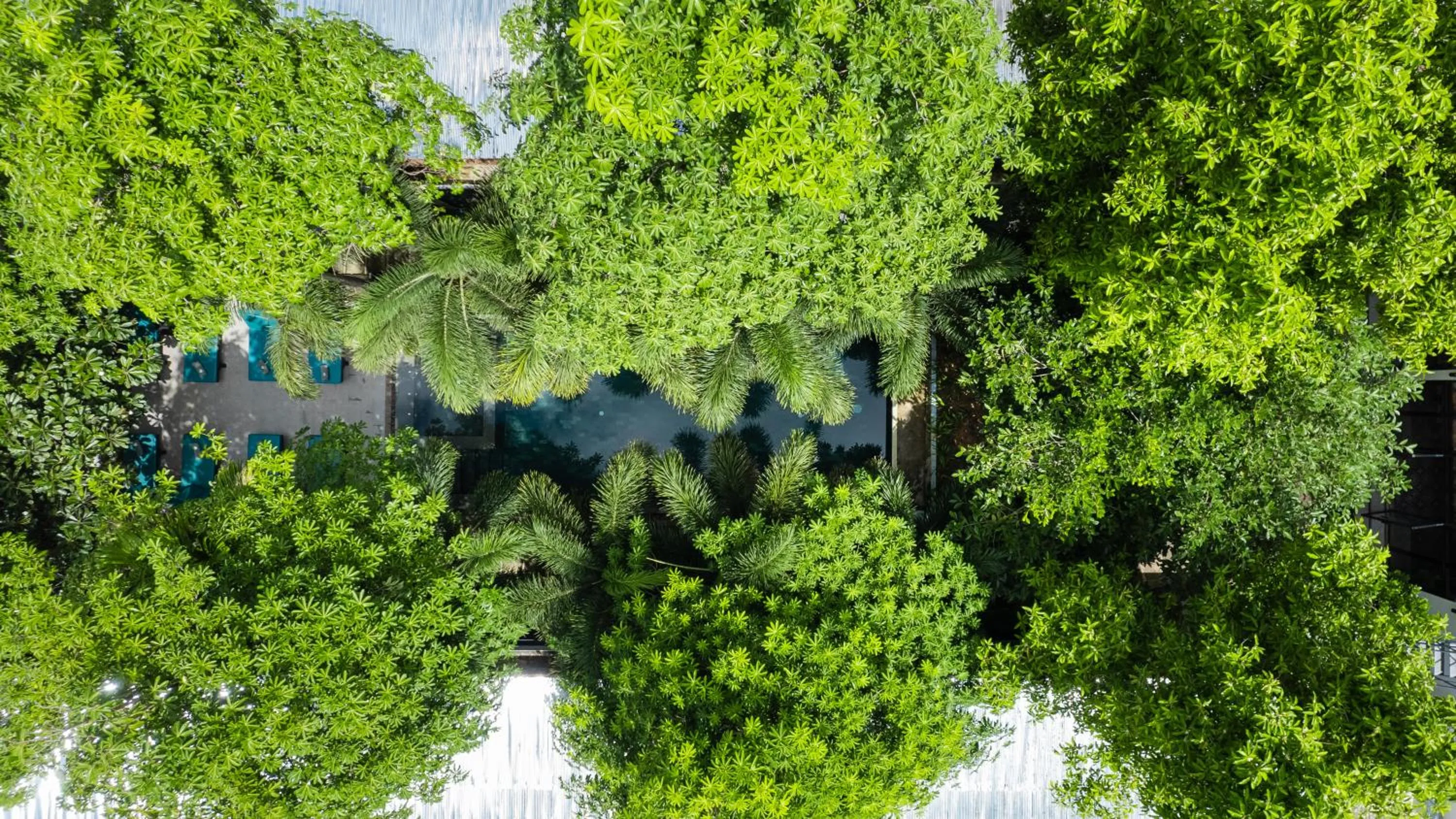 Day in Tunnel Urban Retreat