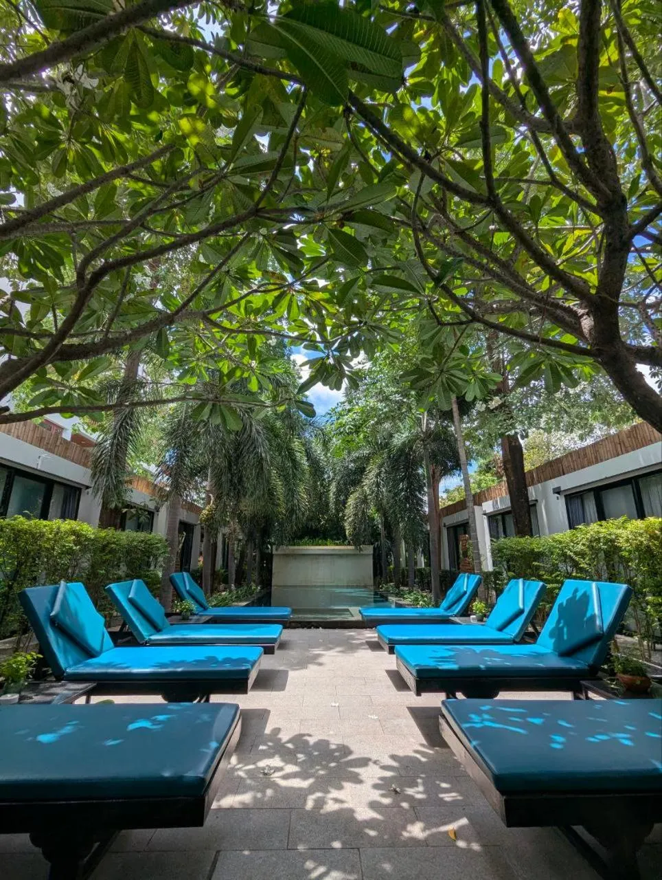 Day in Tunnel Urban Retreat