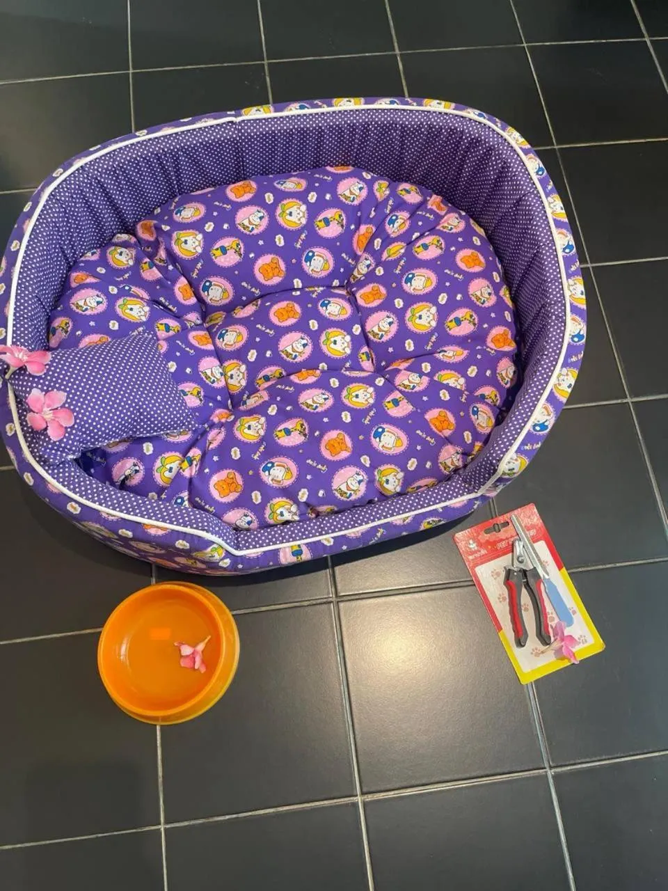 Pets in Tunnel Urban Retreat