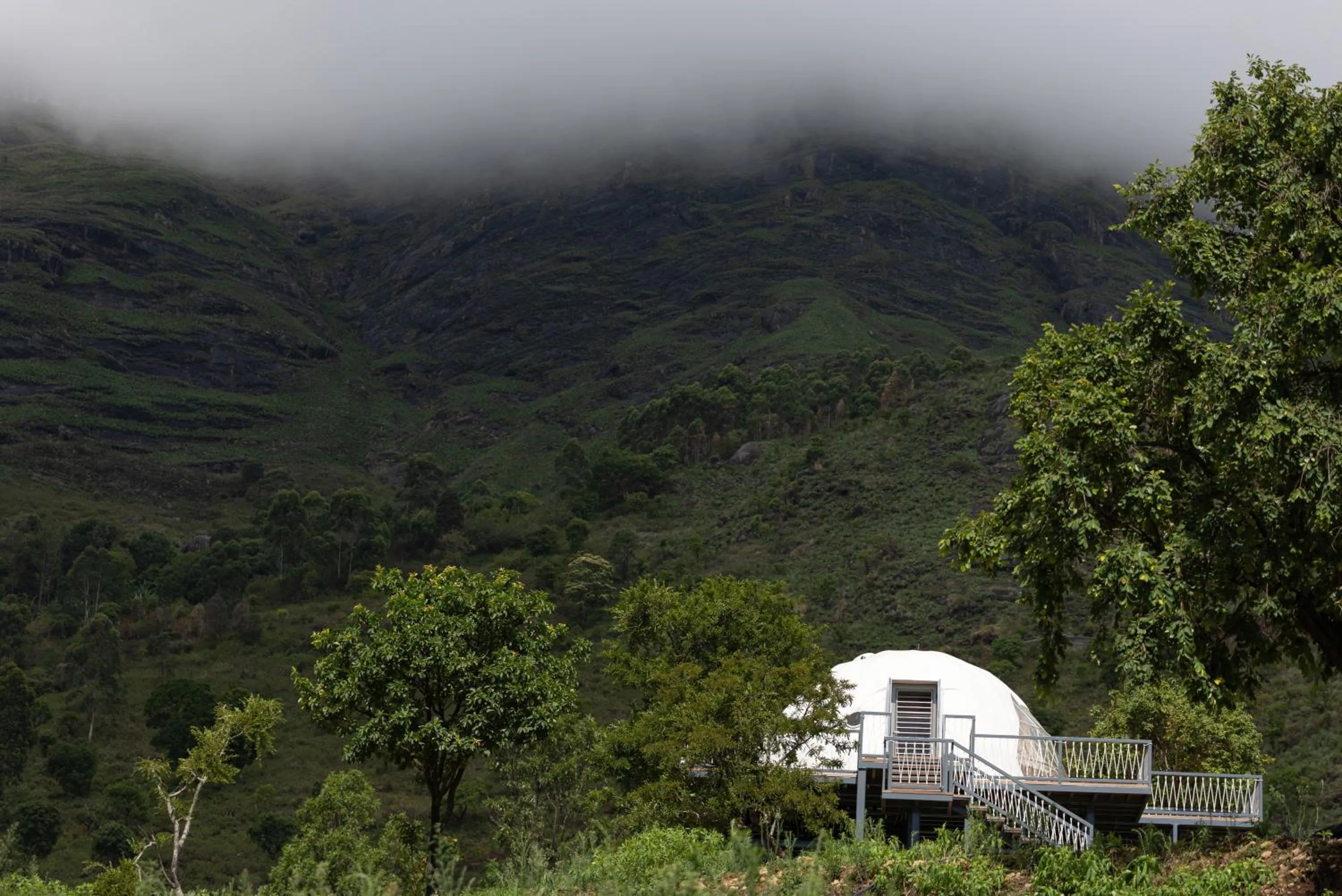 Property building in Tomorrowland Farms and Suites
