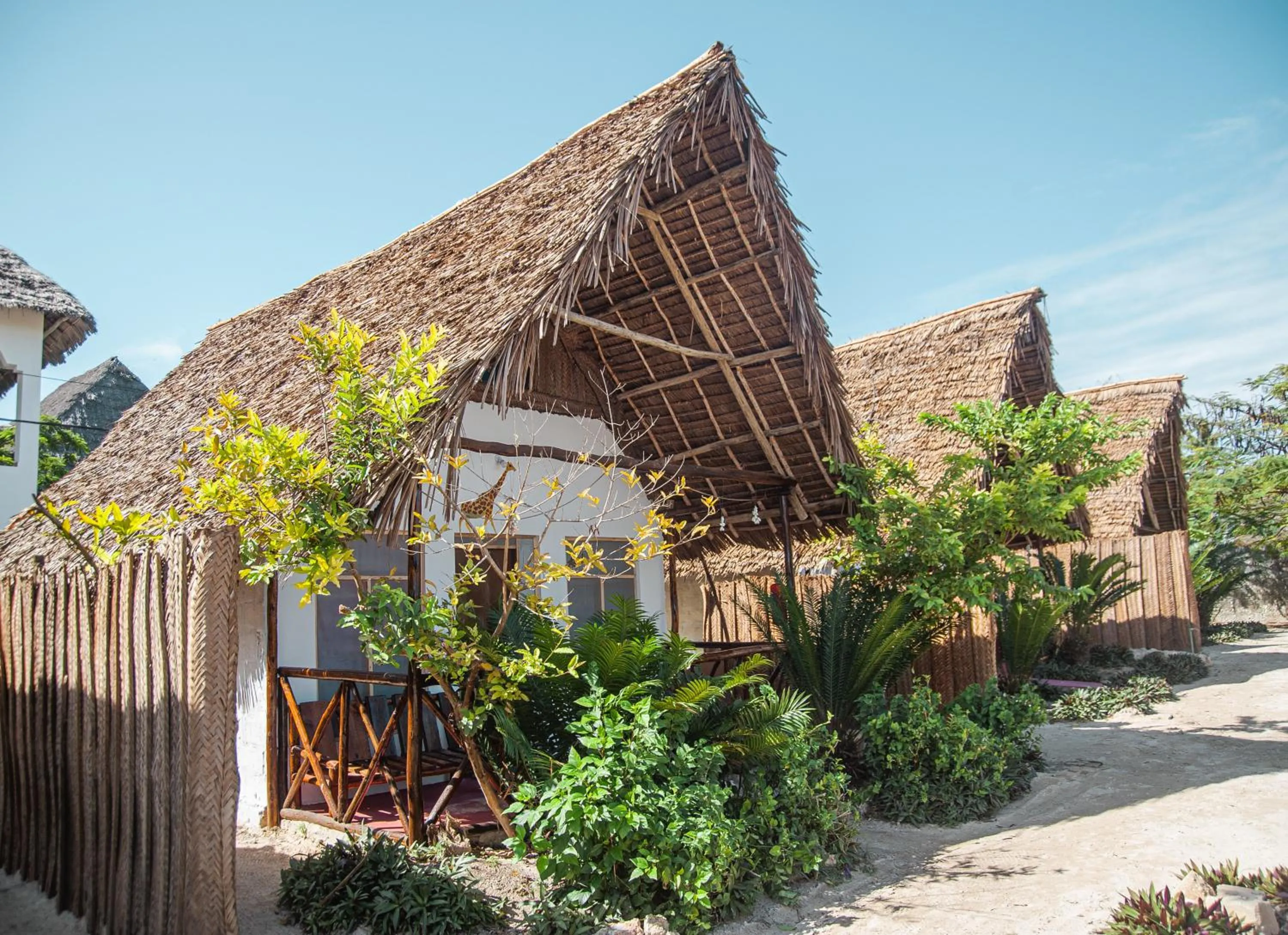 Property building in New Jambo Bungalows