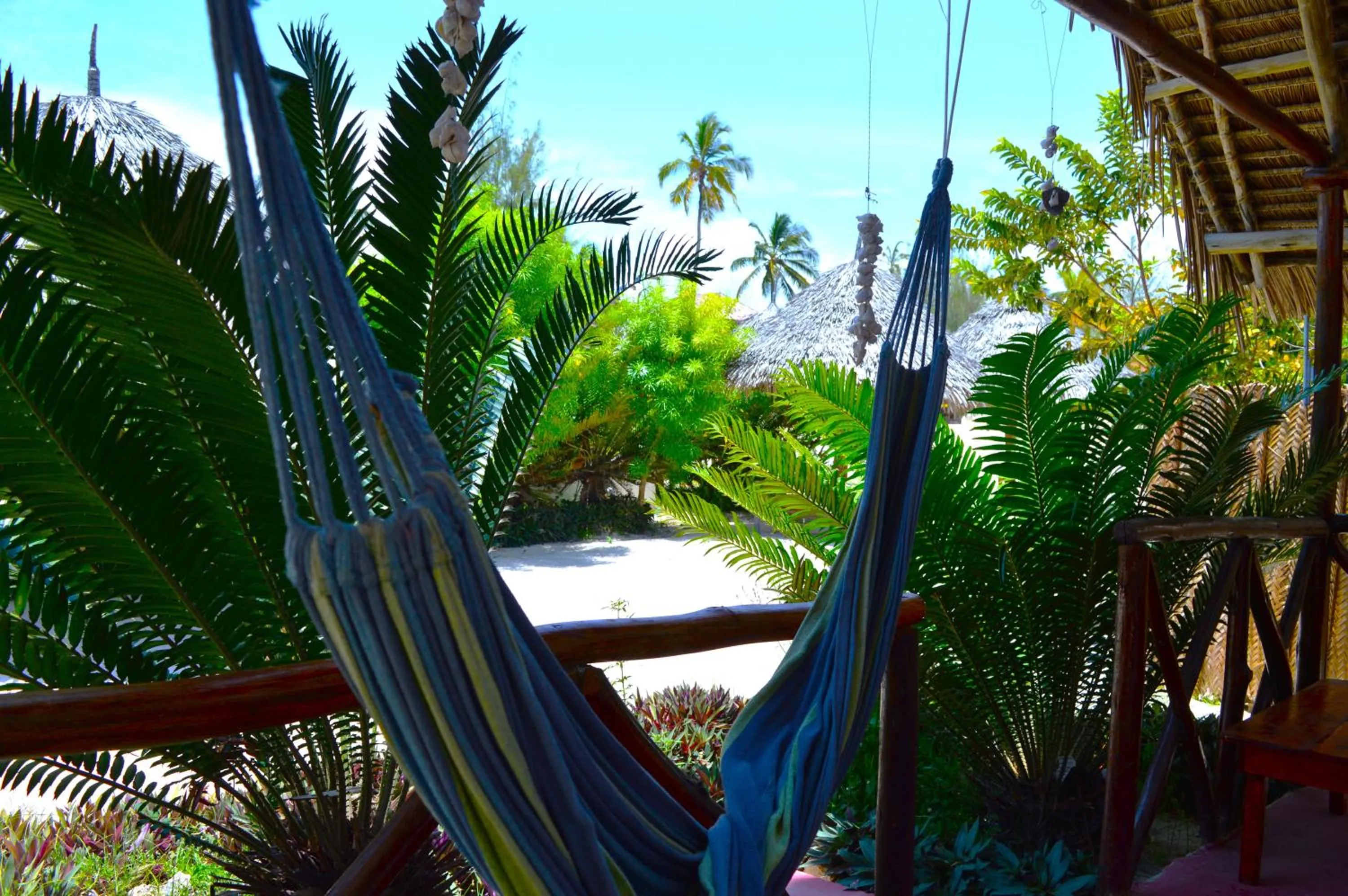 Garden view in New Jambo Bungalows