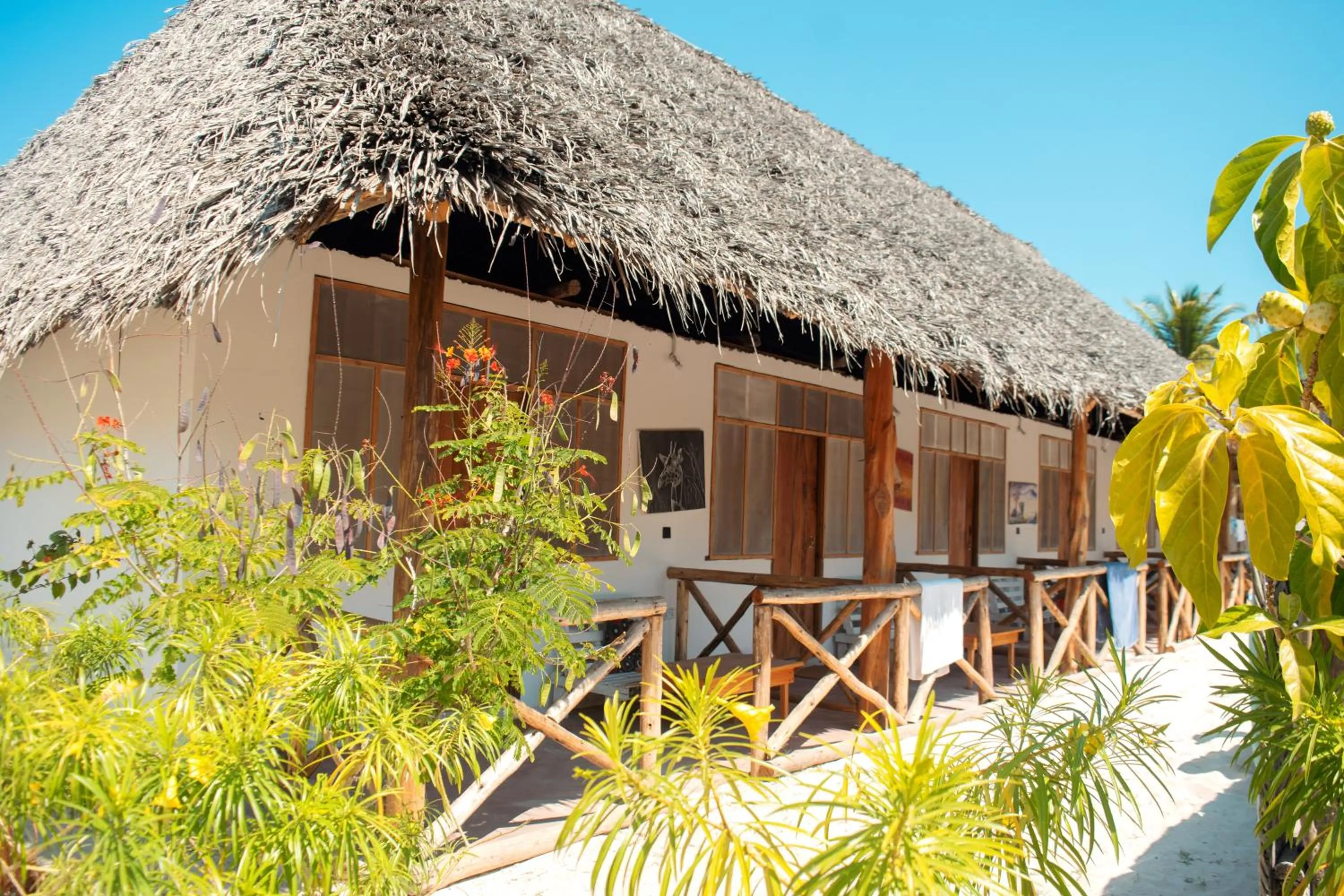 Property building in New Jambo Bungalows