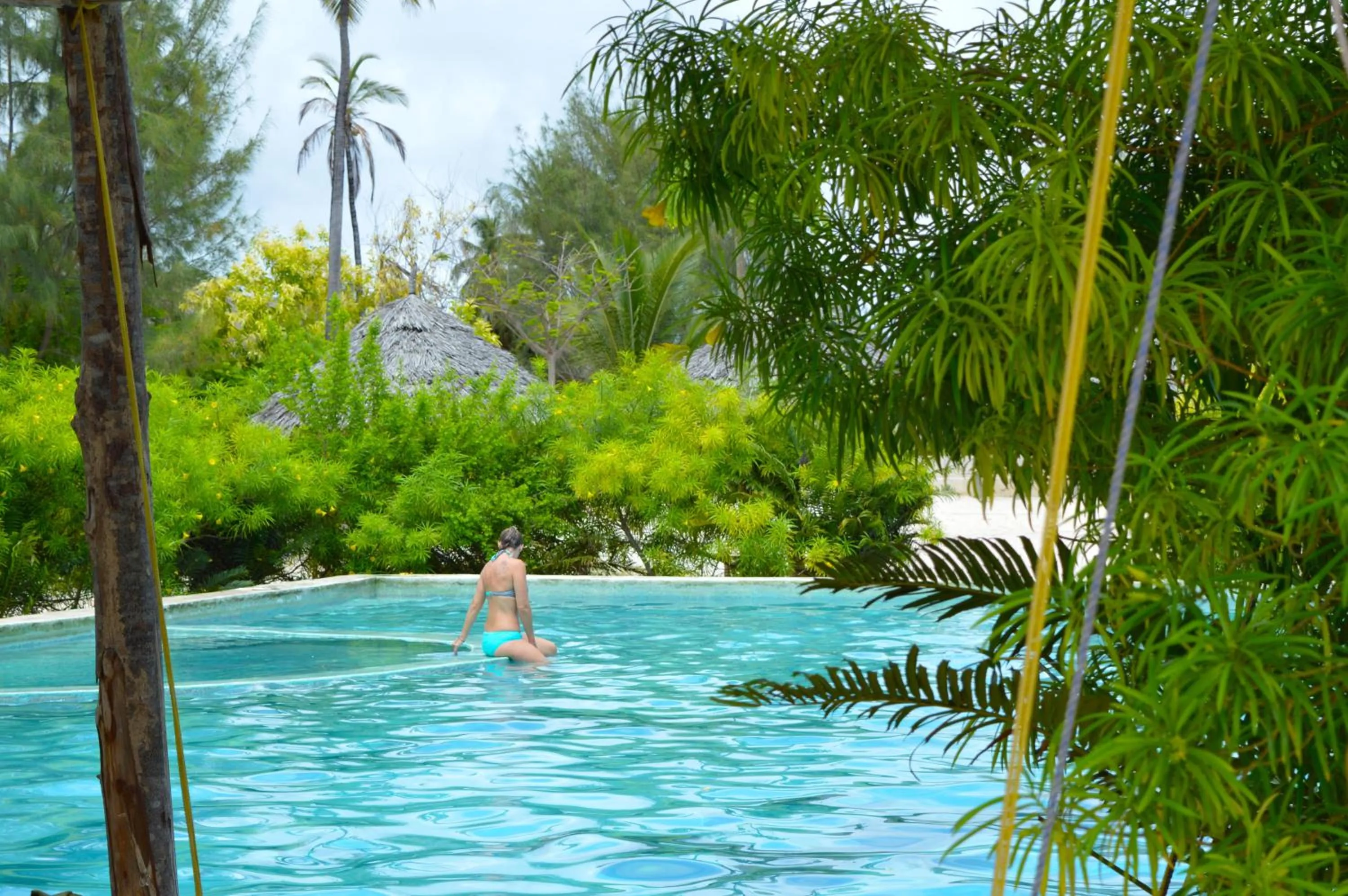 Pool view in New Jambo Bungalows