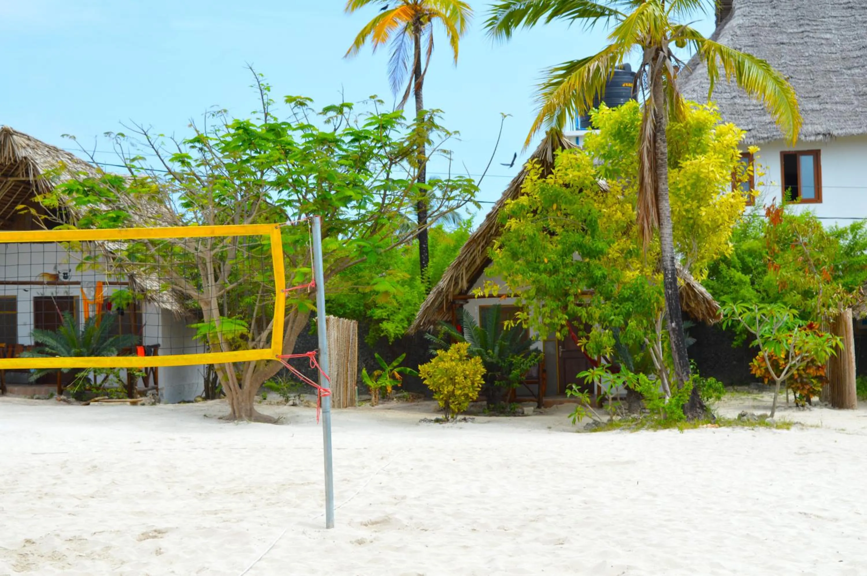 Sports in New Jambo Bungalows