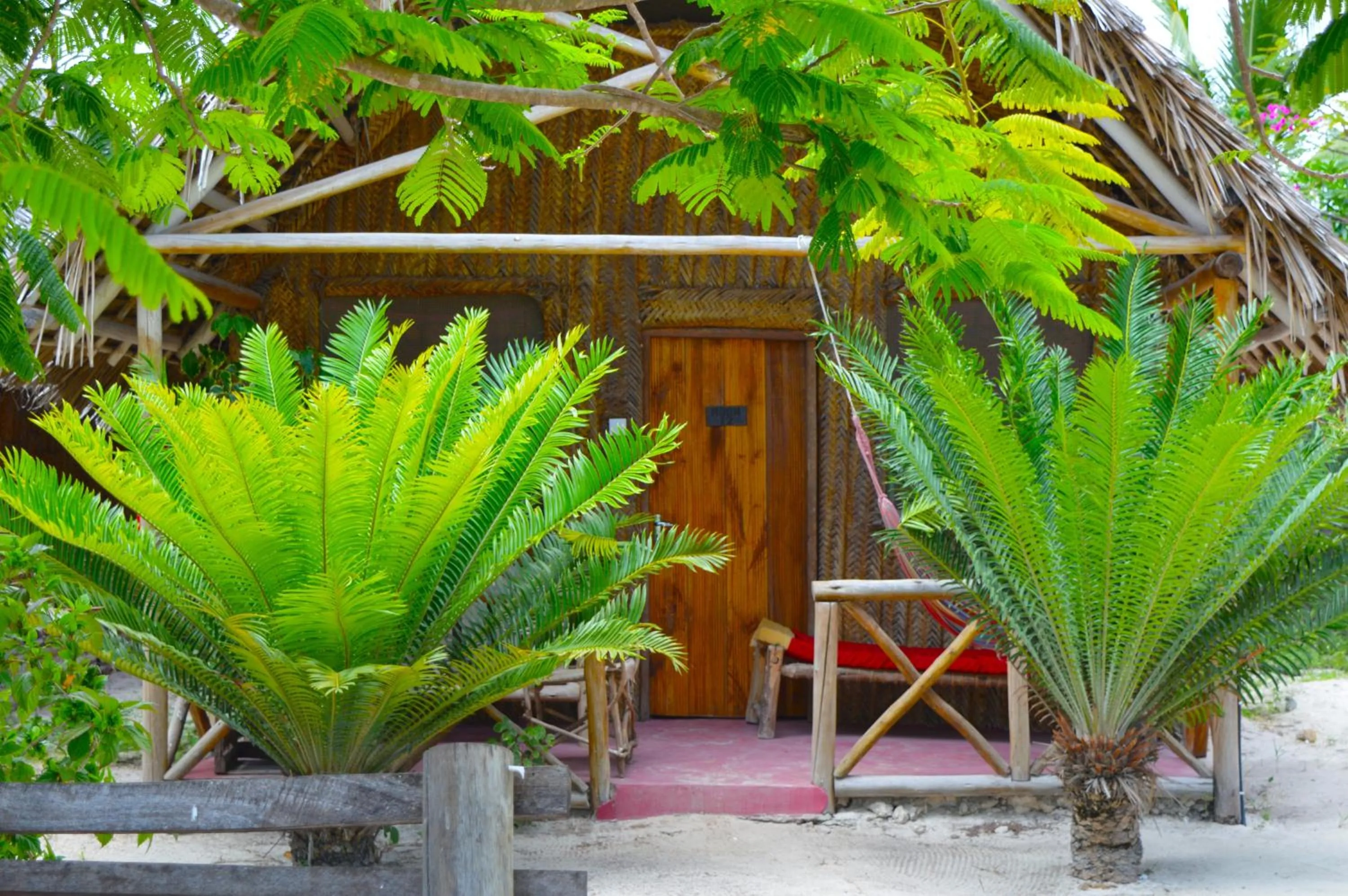 Property building in New Jambo Bungalows