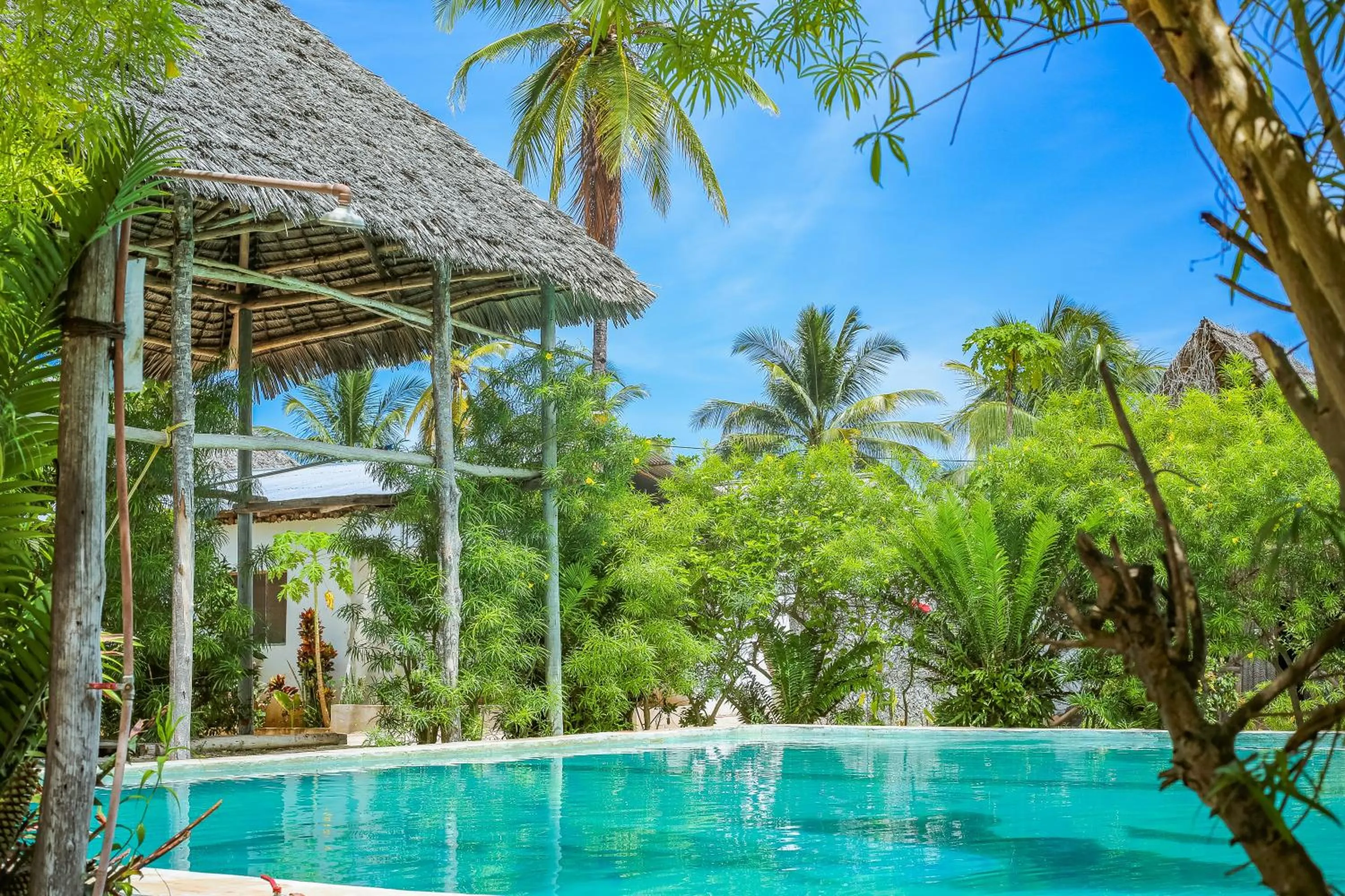 Swimming pool in New Jambo Bungalows