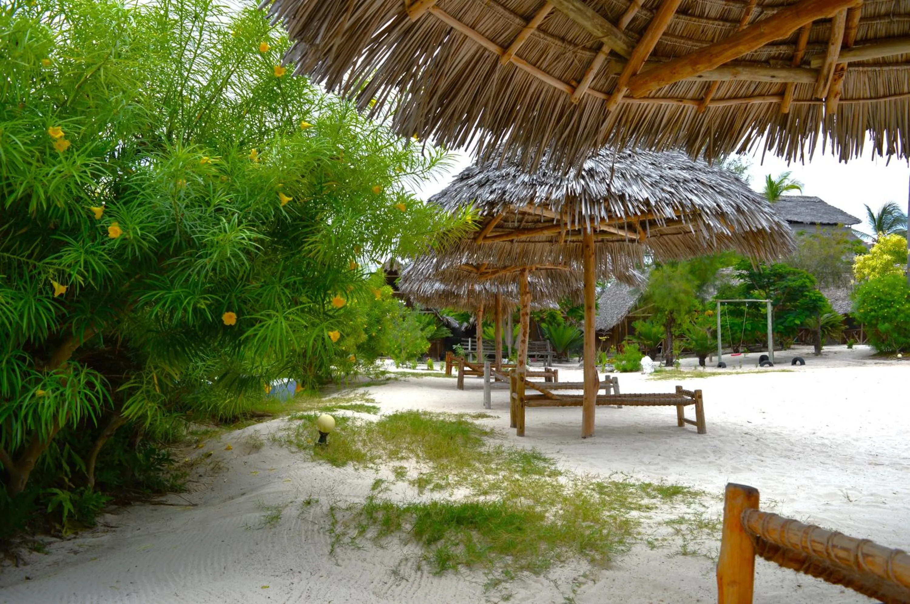 Garden in New Jambo Bungalows