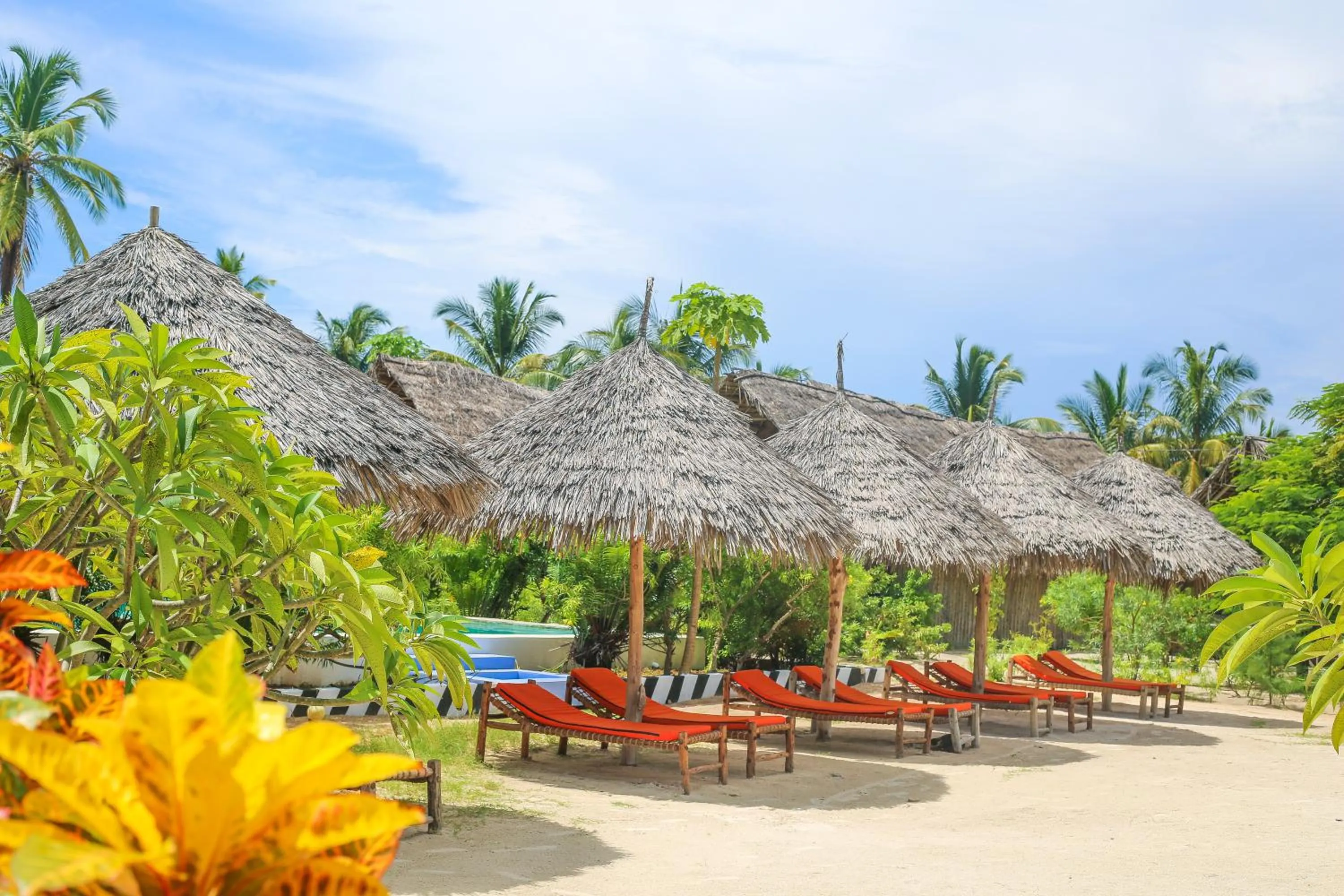 Area and facilities in New Jambo Bungalows