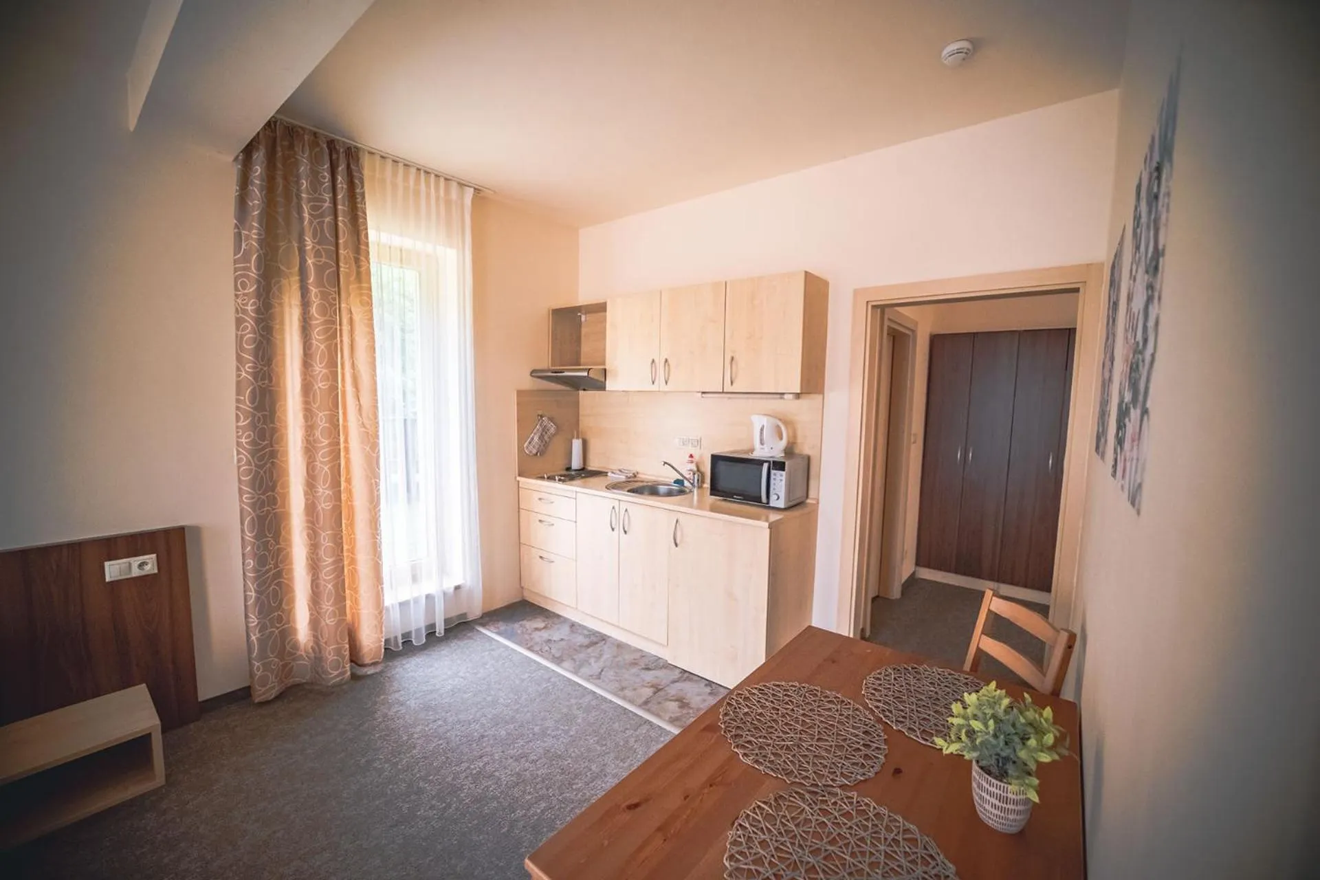 Kitchen or kitchenette in Wellness & Spa Hotel Čertov