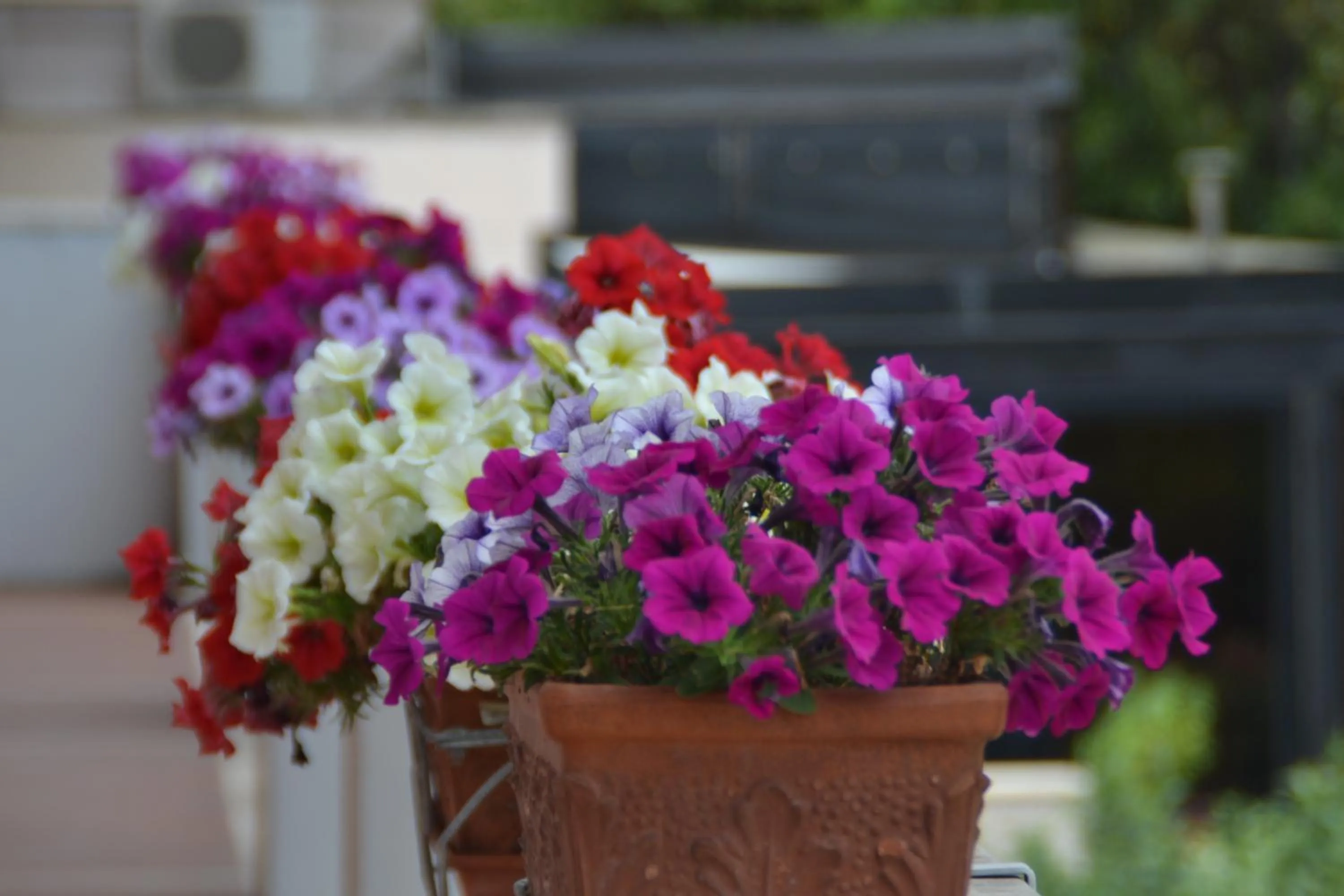 Spring in Hotel Bel Sogno