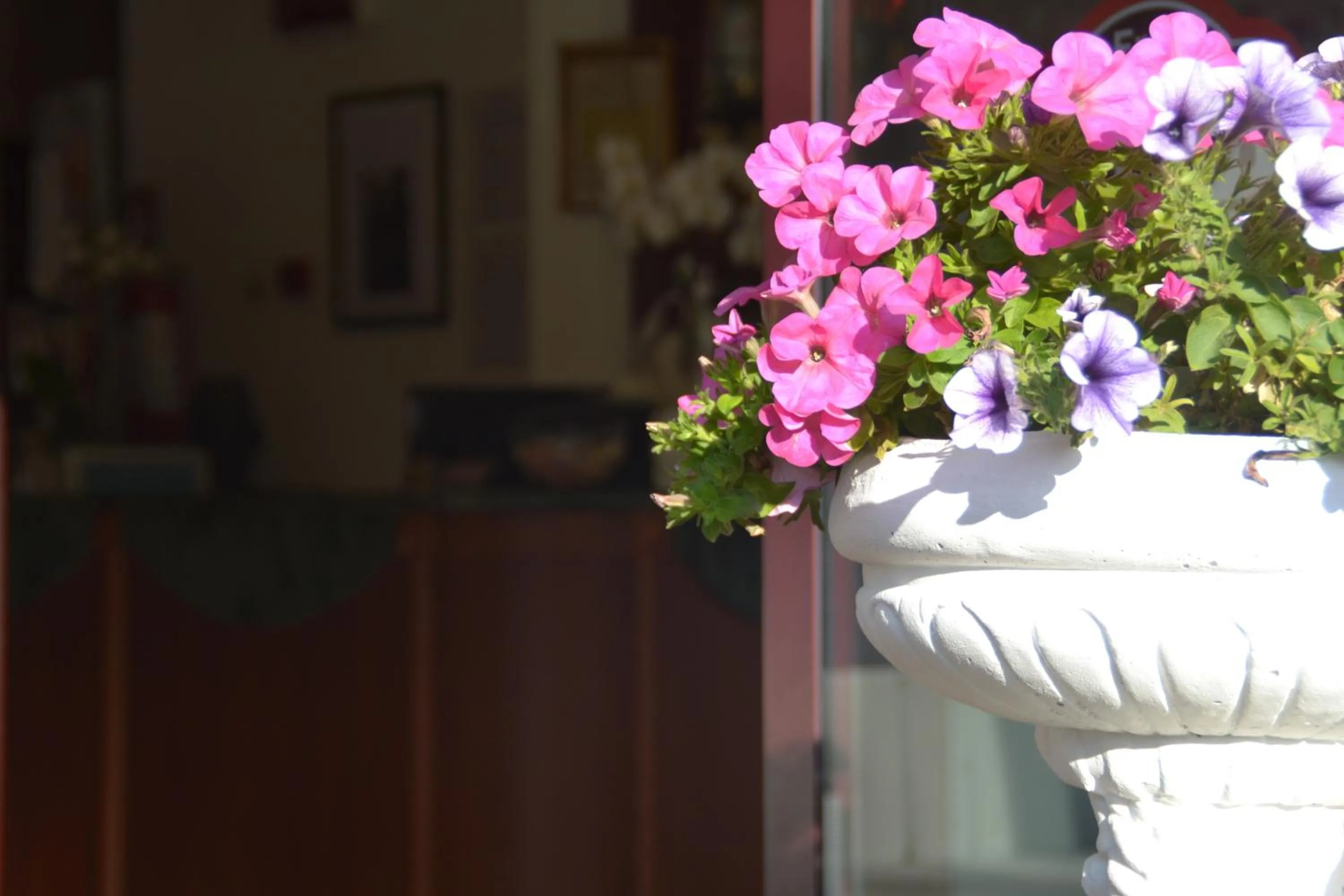 Day in Hotel Bel Sogno