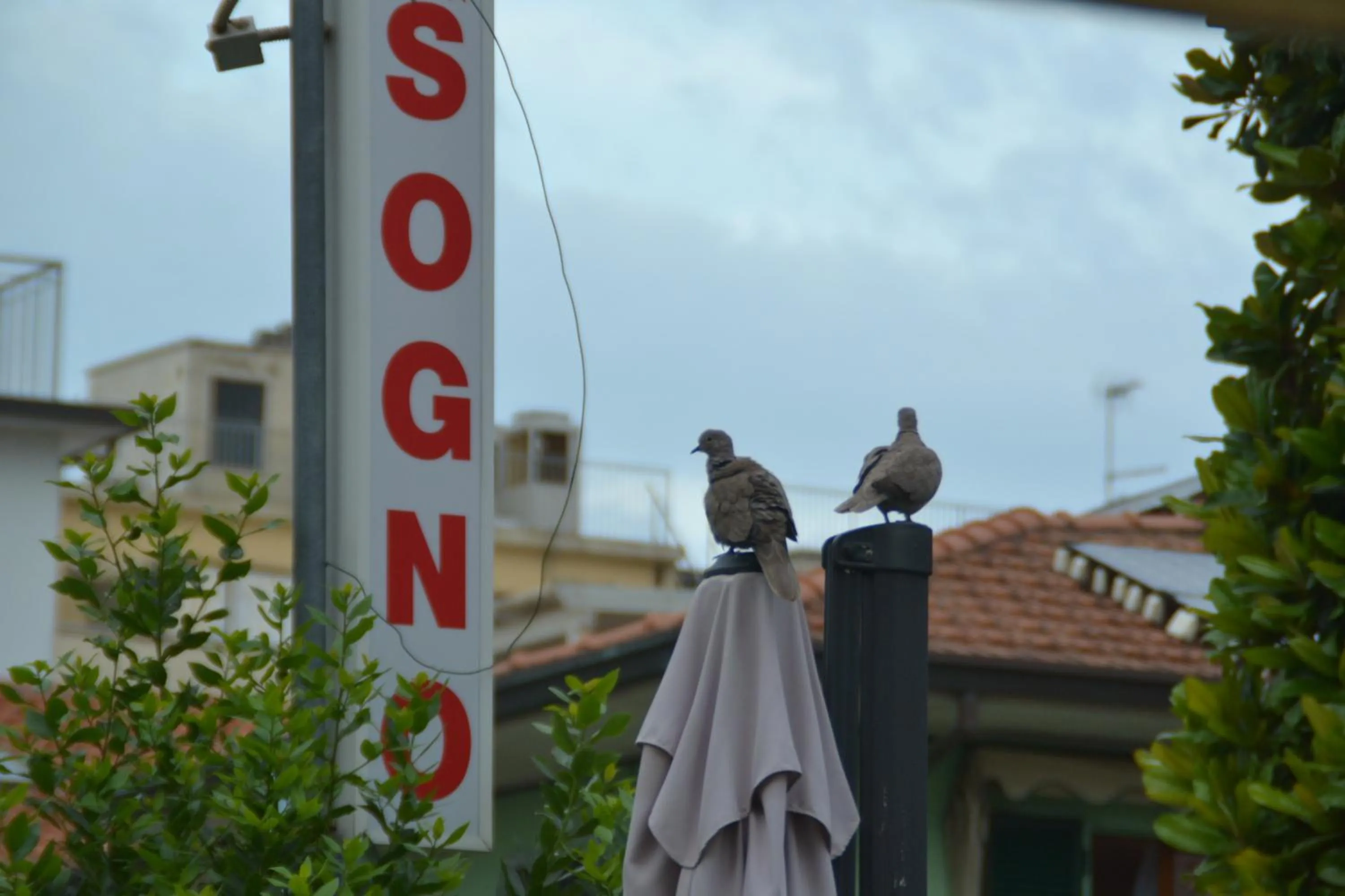 Day in Hotel Bel Sogno