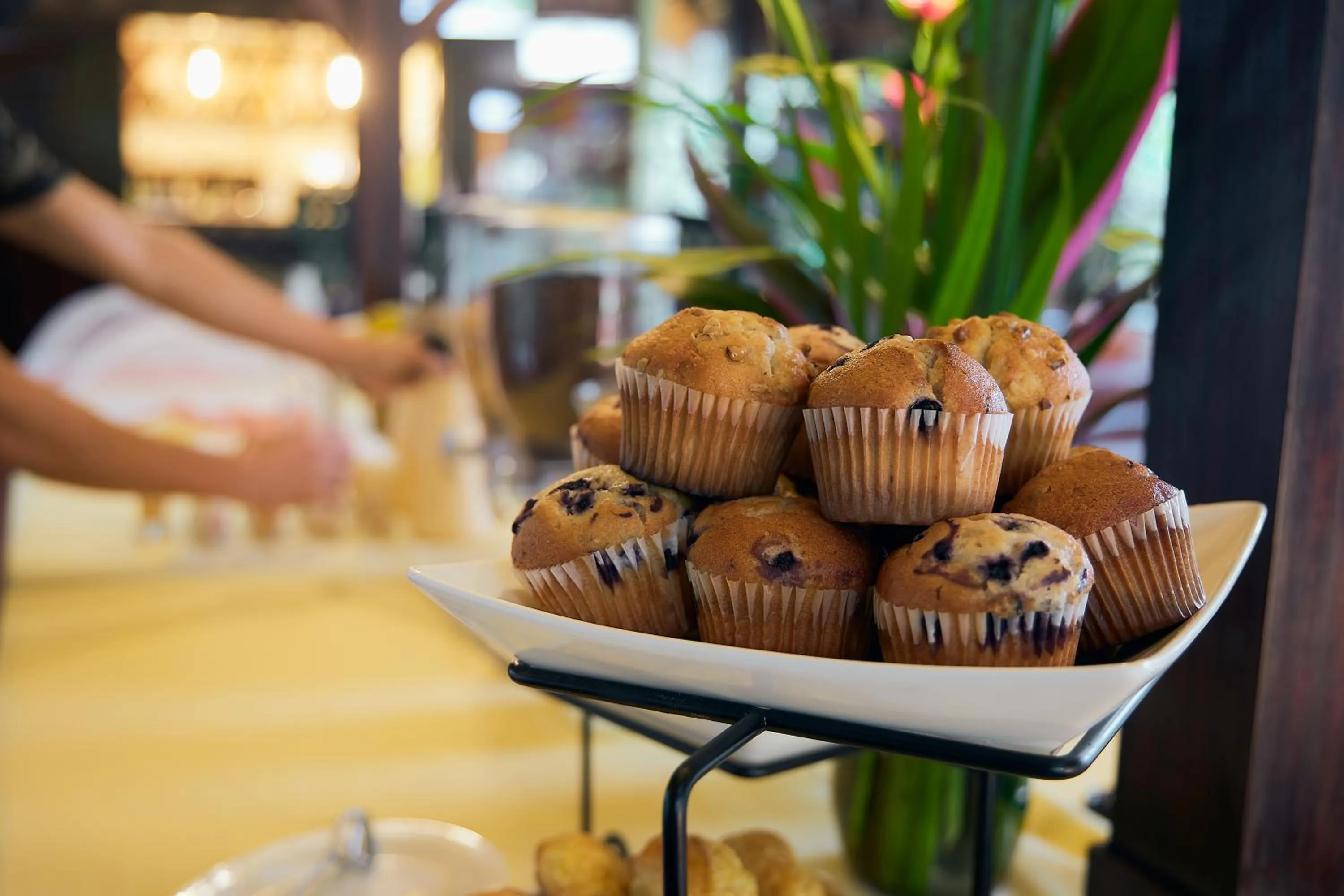 Breakfast in Shawandha Lodge