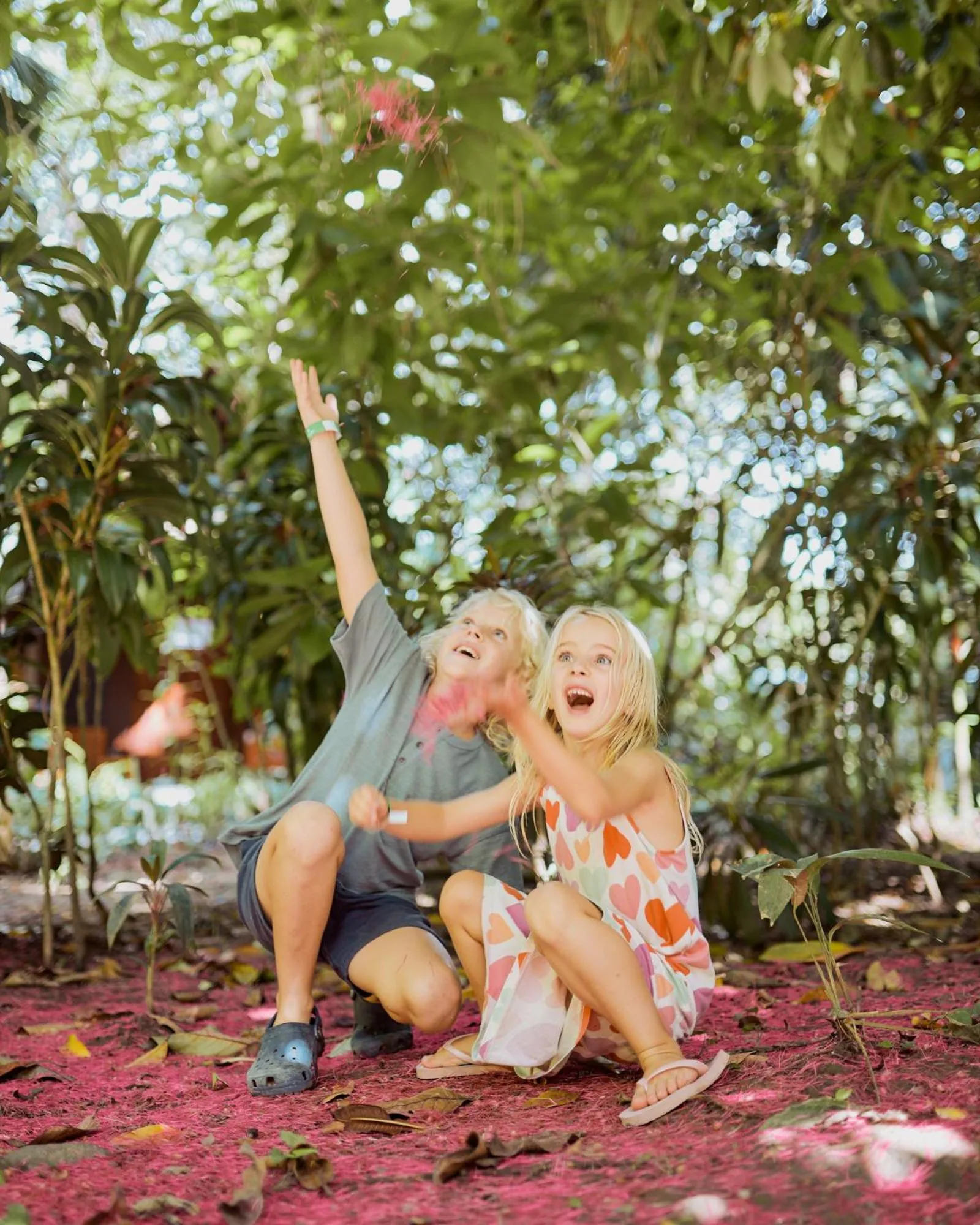 Garden in Shawandha Lodge