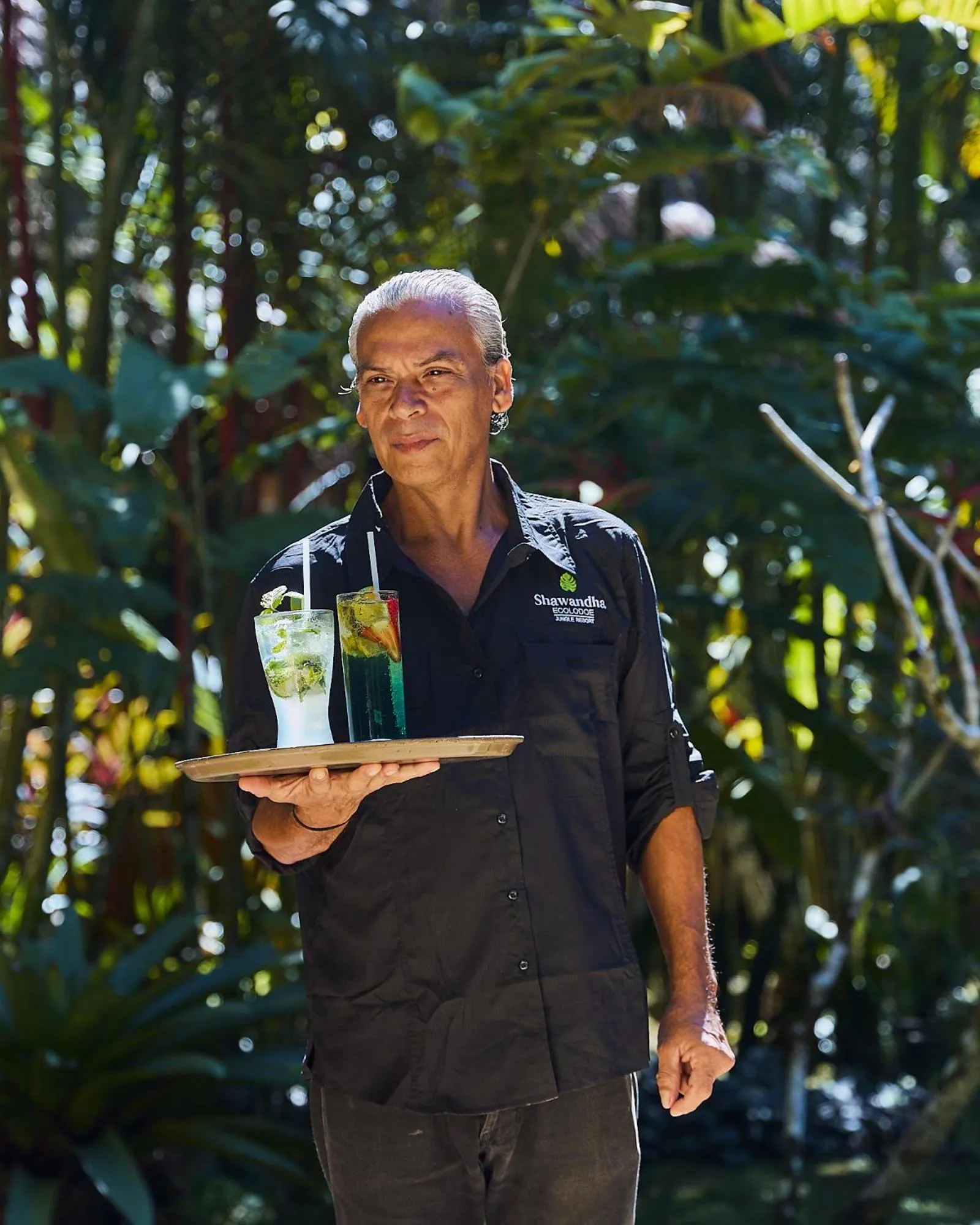 Swimming pool in Shawandha Lodge