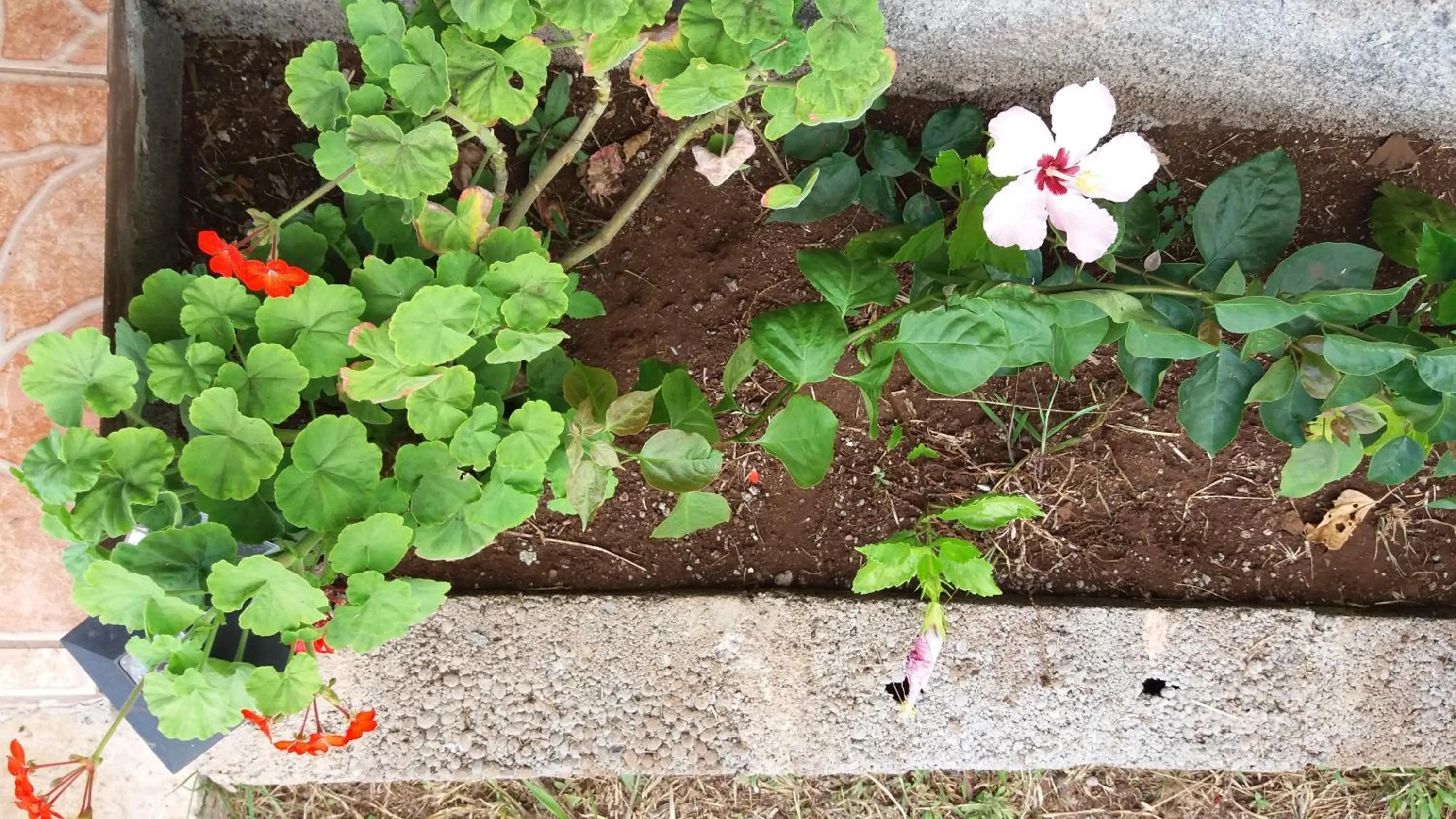 Off site in Cabañas Henua Iti