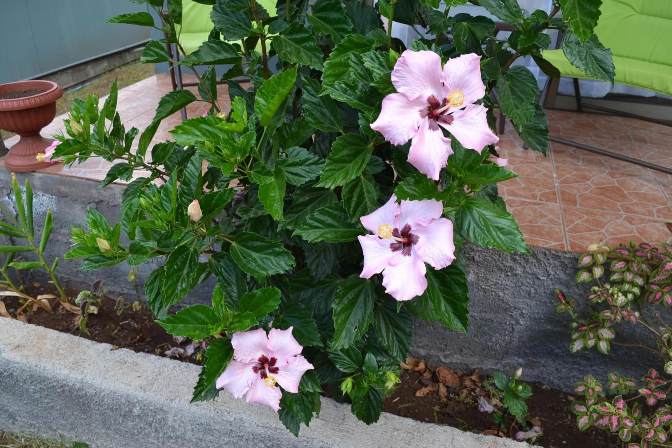 Off site in Cabañas Henua Iti