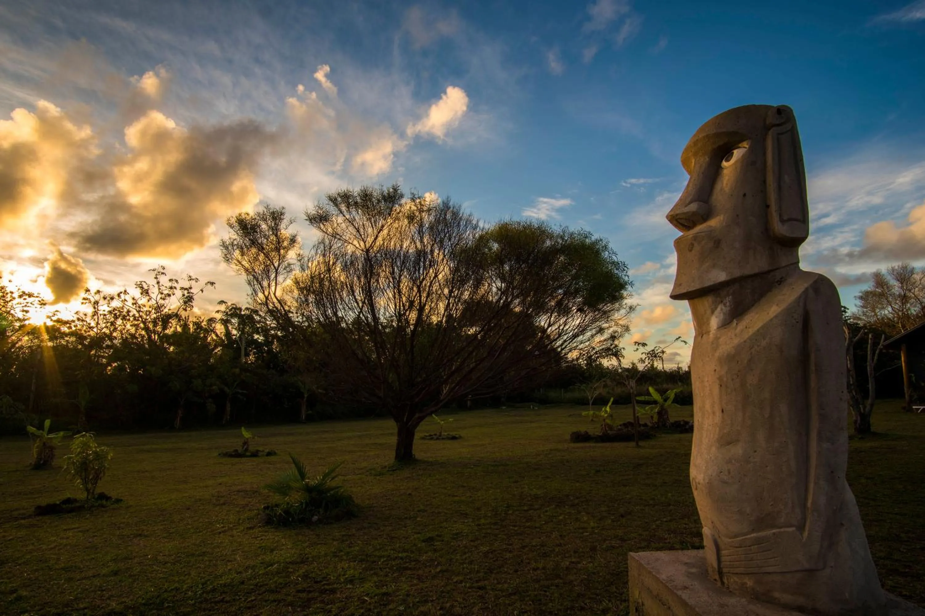 Bird's eye view in Cabañas Henua Iti