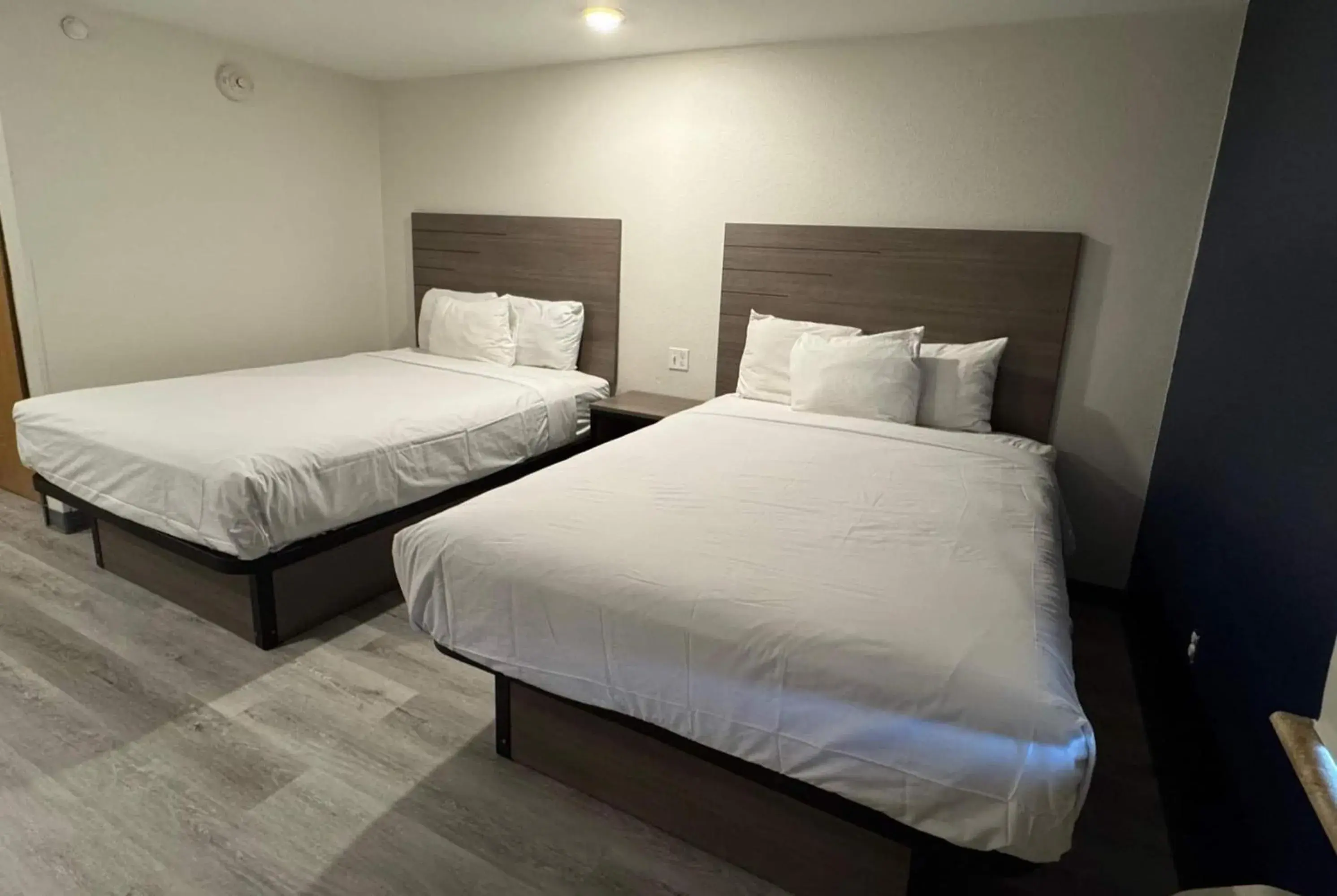 Studio with Two Queen Beds - Non-Smoking in Baymont by Wyndham Dickinson Studio with Two Queen Beds - Non-Smoking in Baymont by Wyndham Dickinson