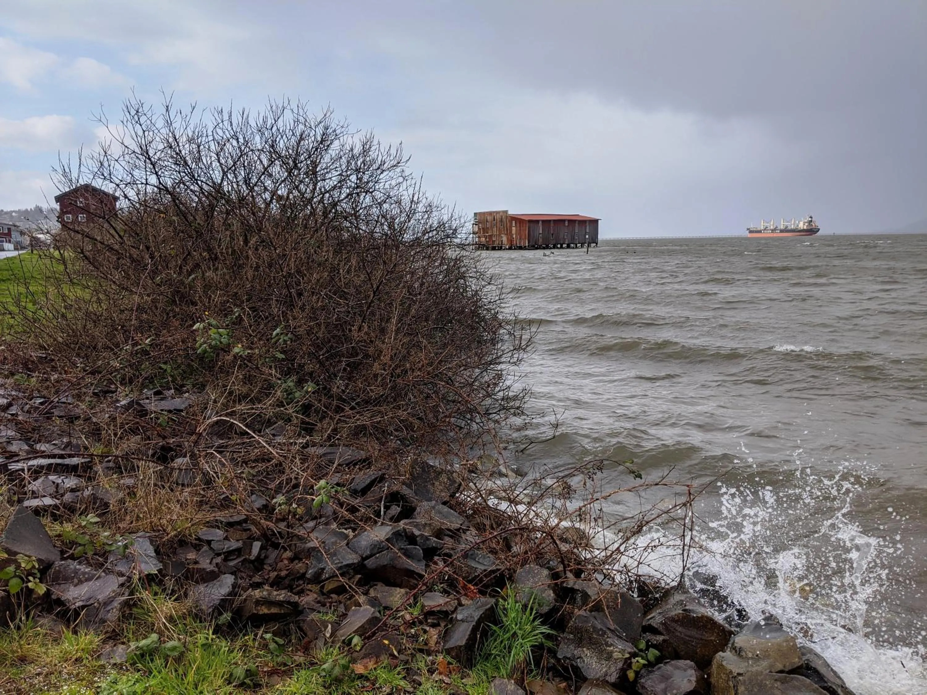 Natural landscape in Hotel Elliott