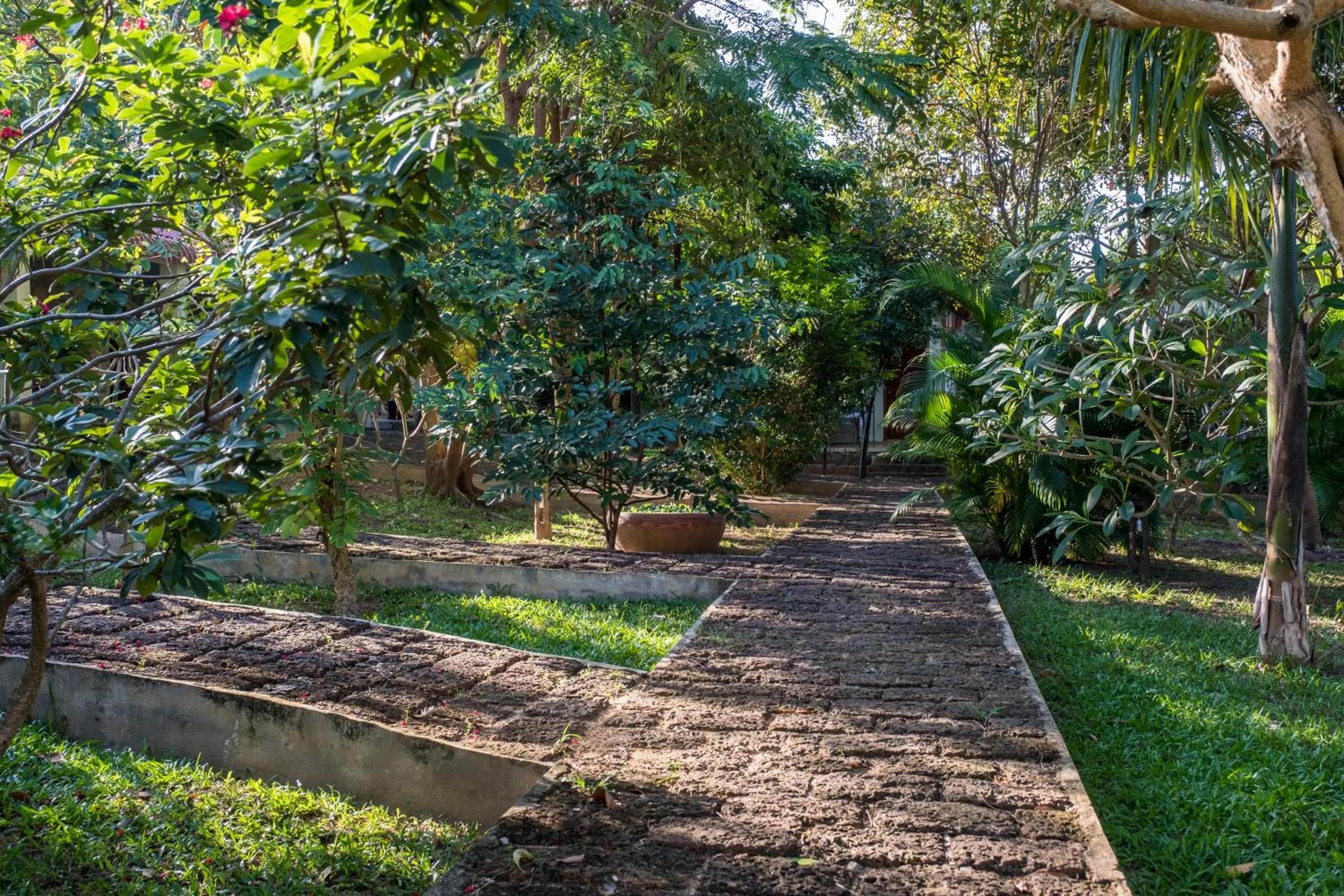 Garden in Kep Bungalows
