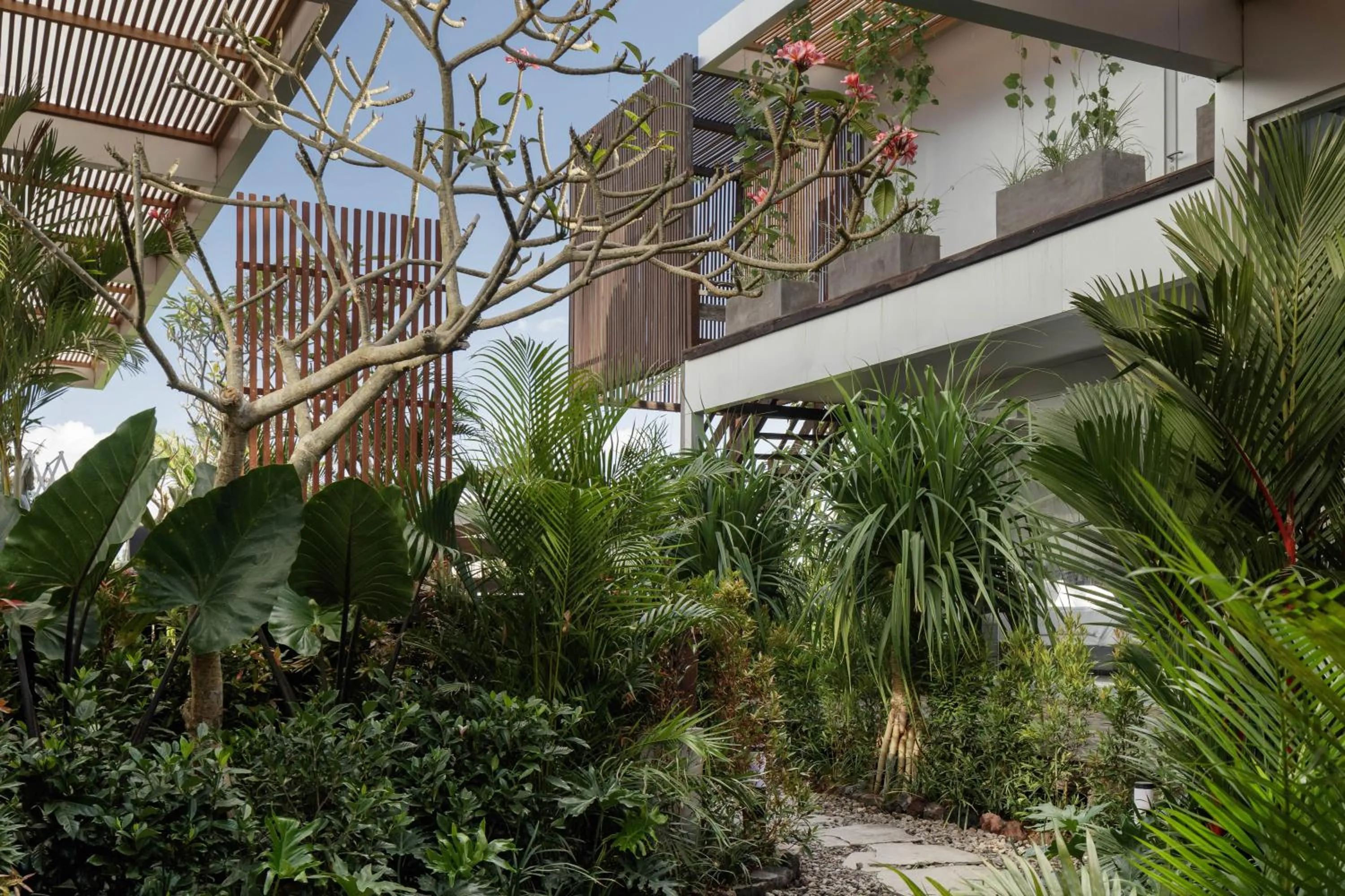 Garden in Unit Space Village