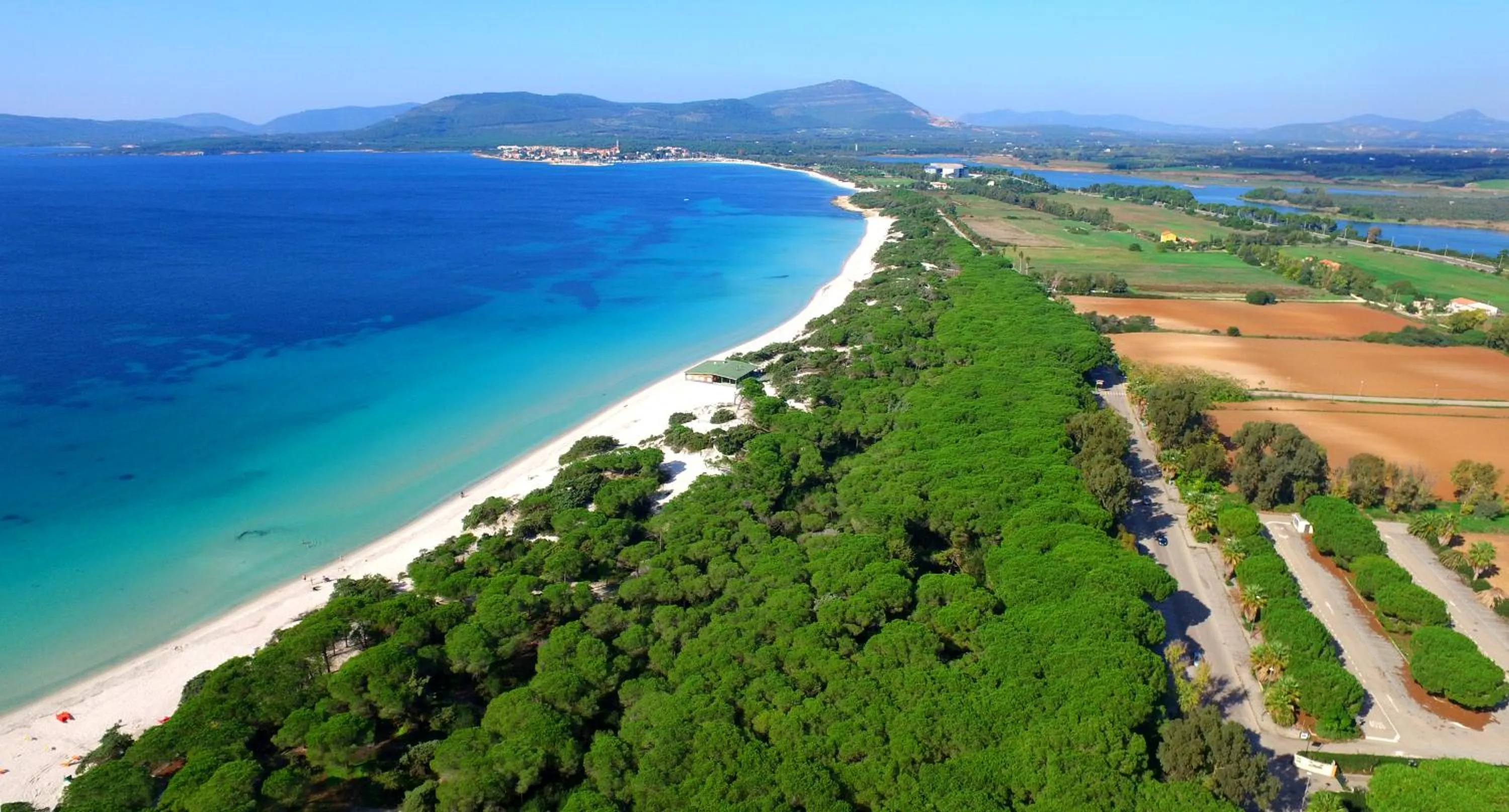 Day in Residence Oasis