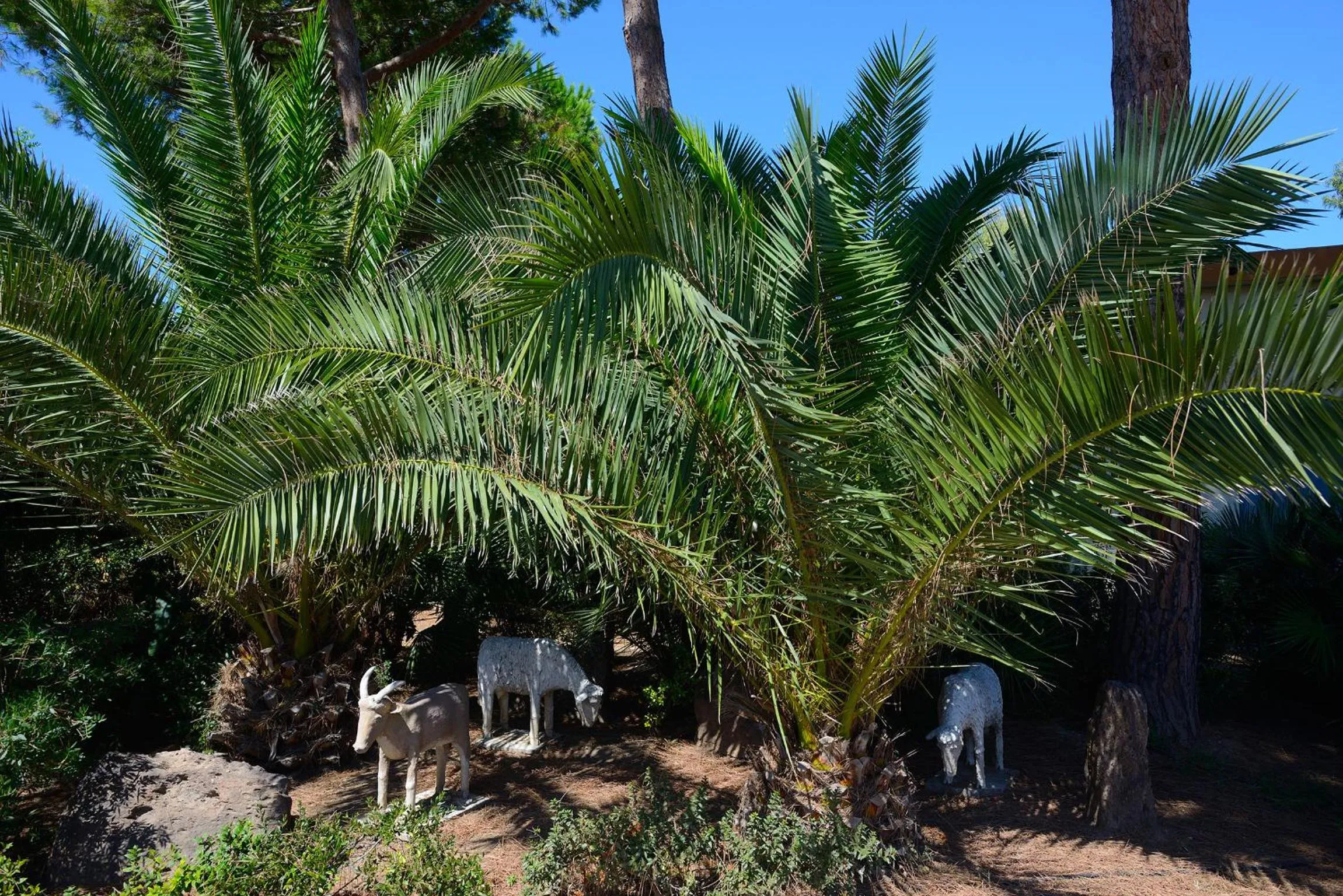 Garden in Residence Oasis