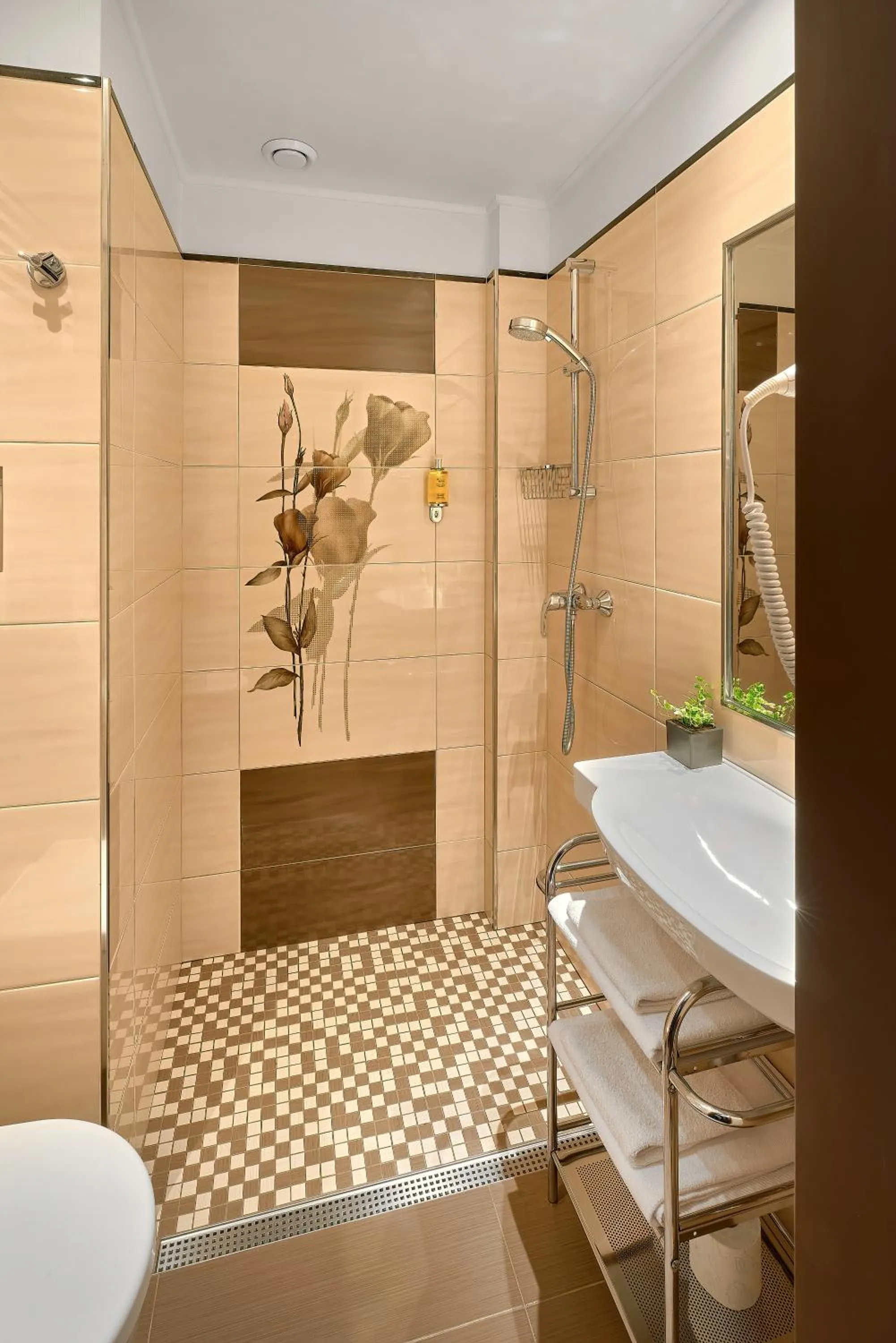 Shower in Hotel Tetřeví Boudy