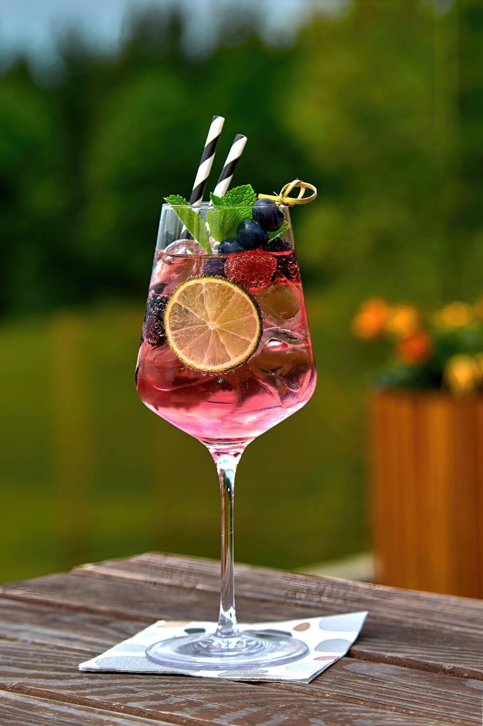 Food and drinks in Hotel Tetřeví Boudy