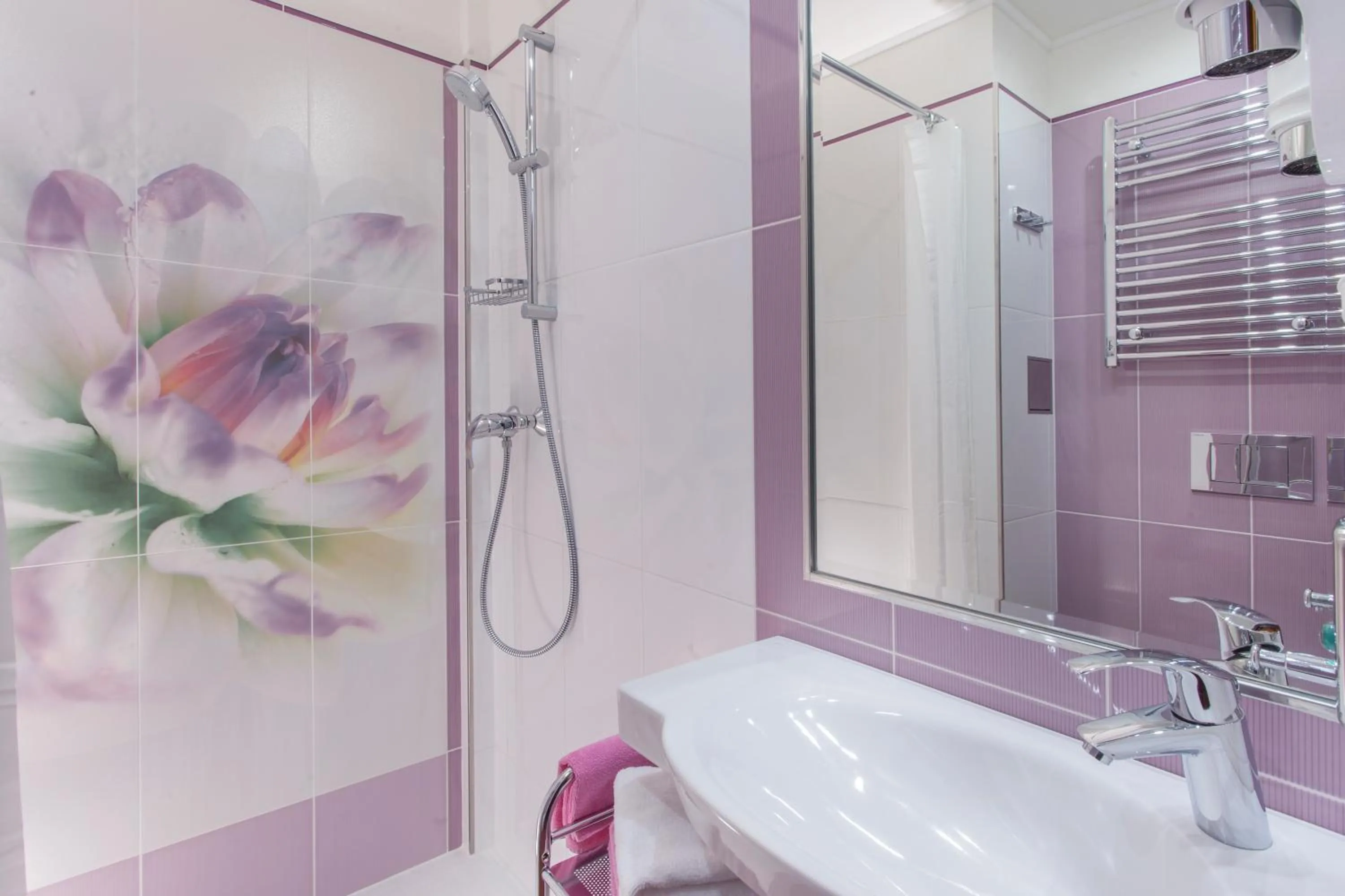 Bathroom in Hotel Tetřeví Boudy