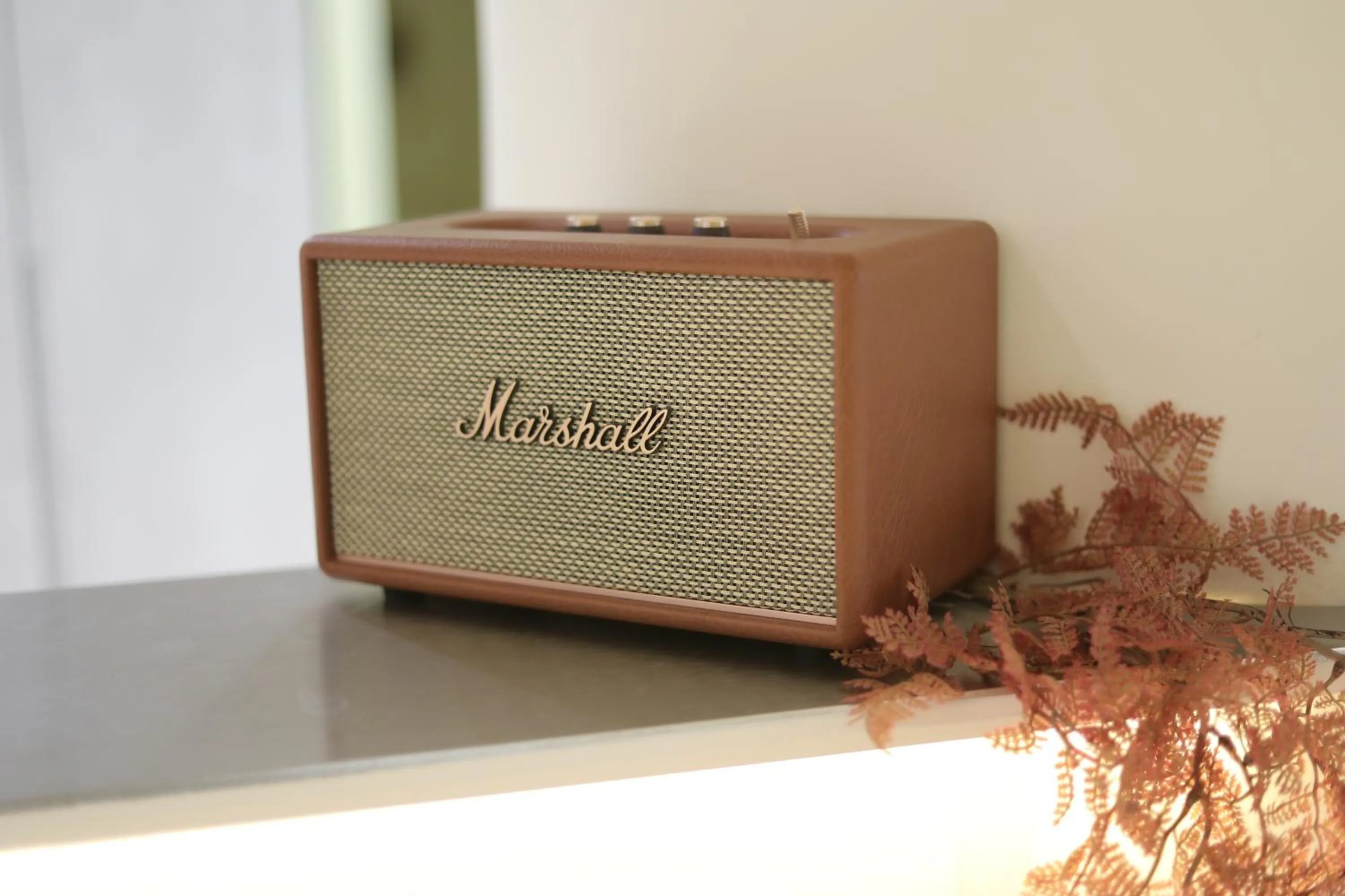 Area and facilities in Wondertime Taipei Station - Hankou Ladies Hostel