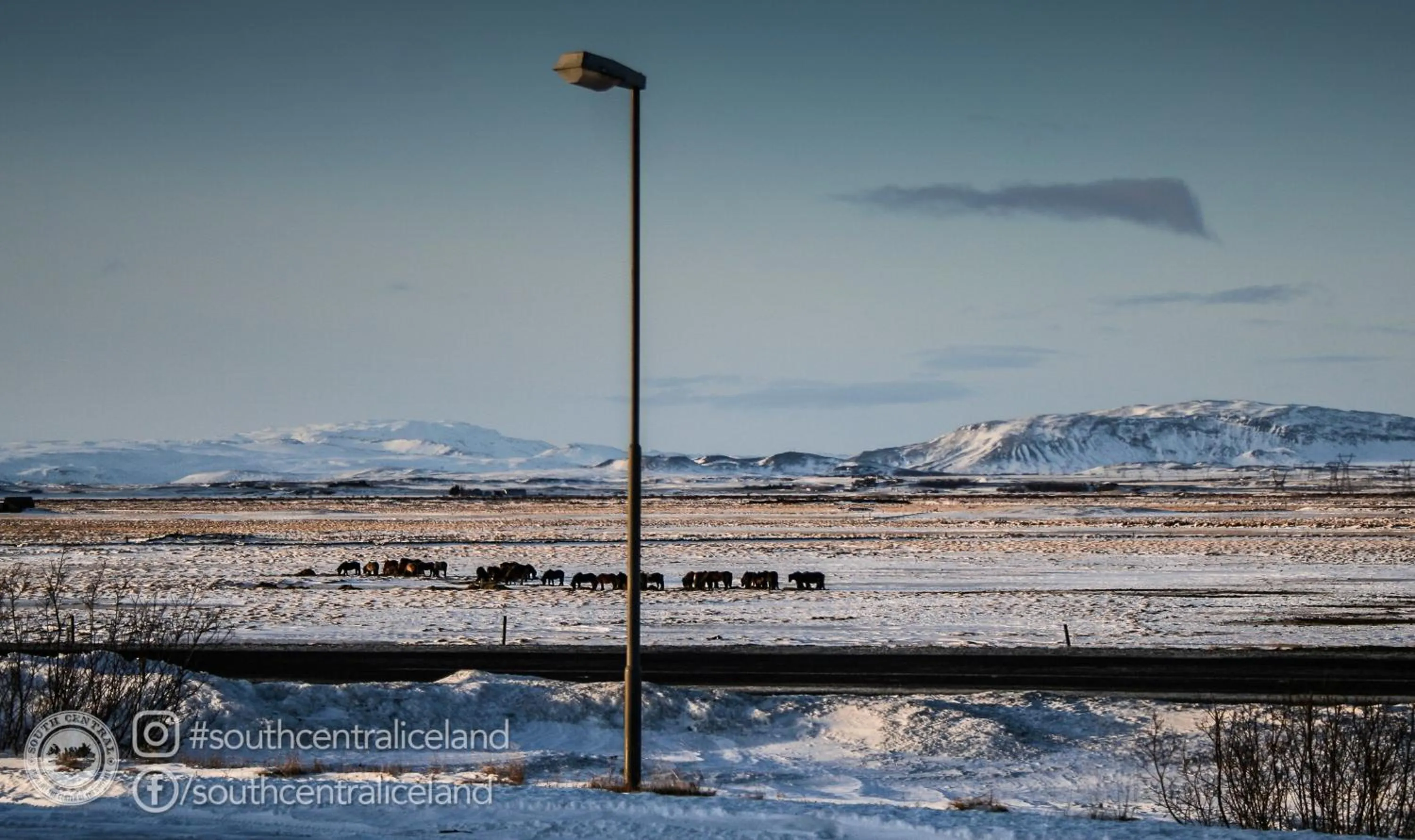 Natural landscape in South Central Apartments