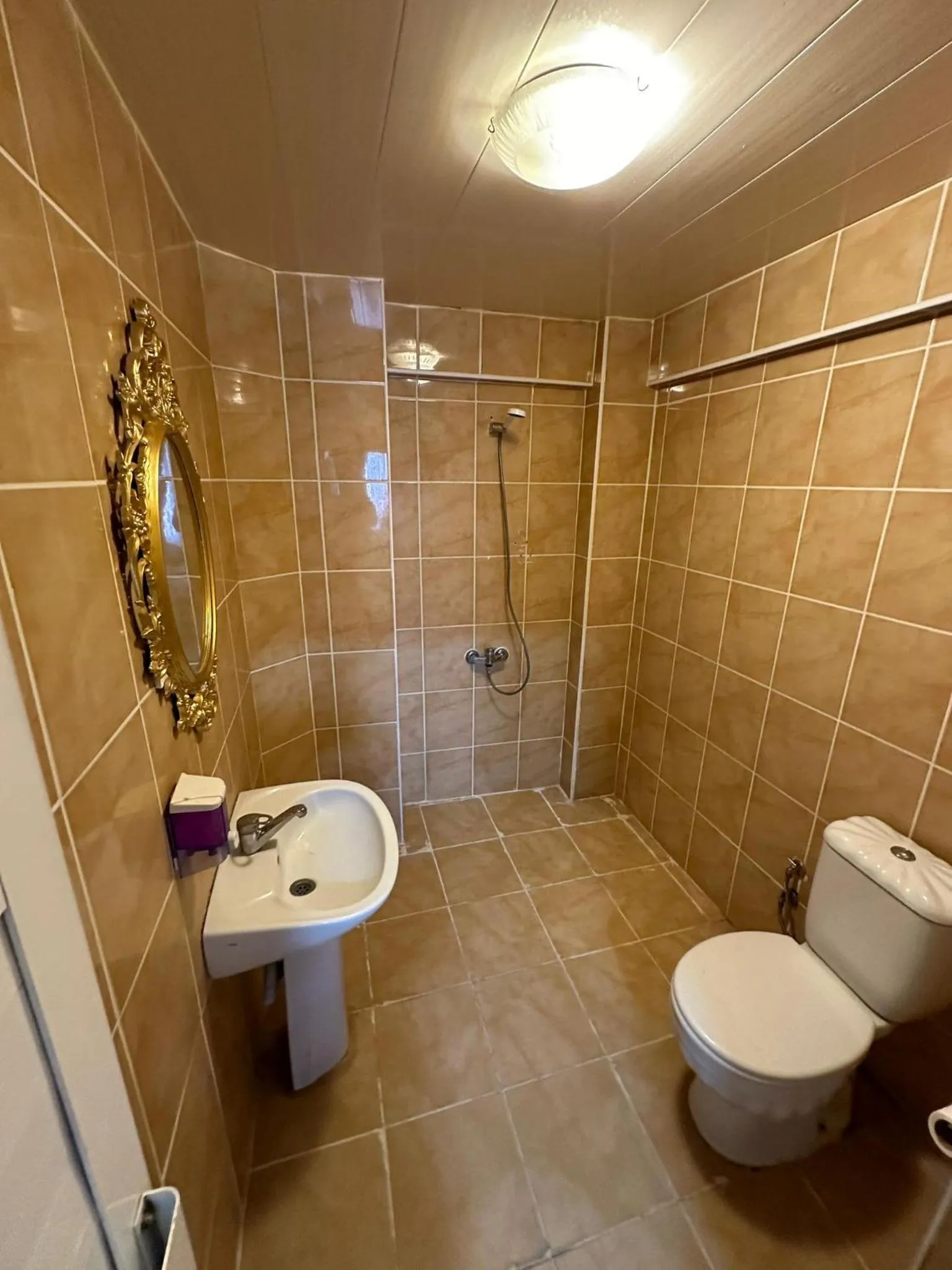 Shower in Hotel Metropol 1