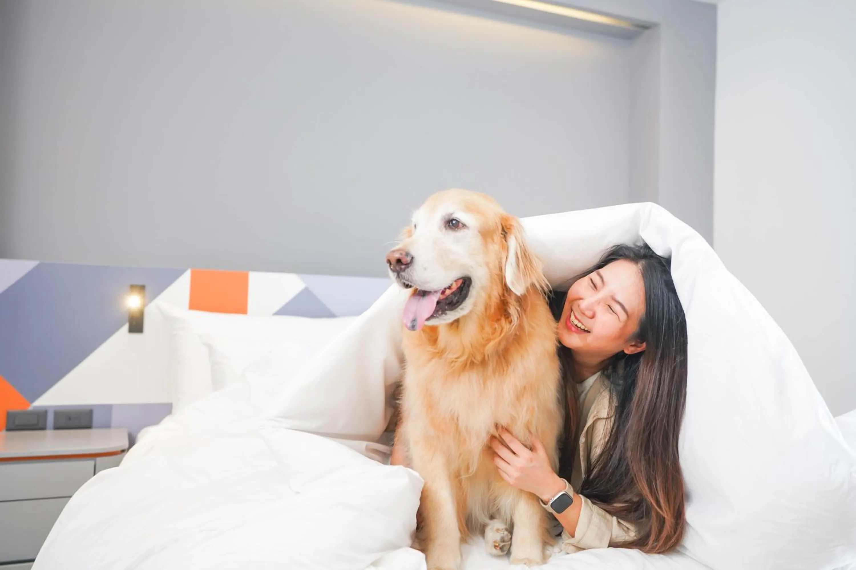 Pets in Maybis Hotel