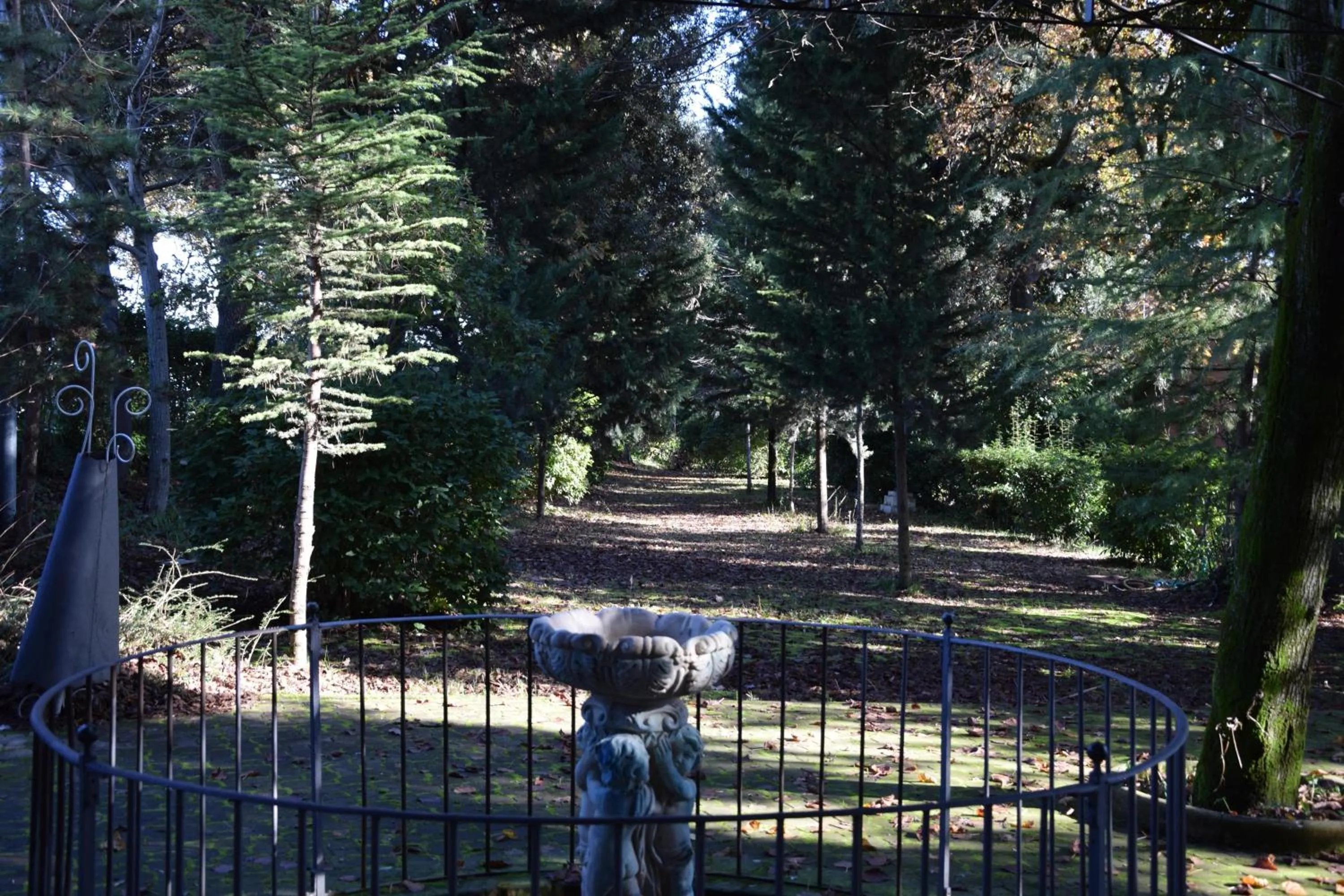 Day in Hotel Il boschetto