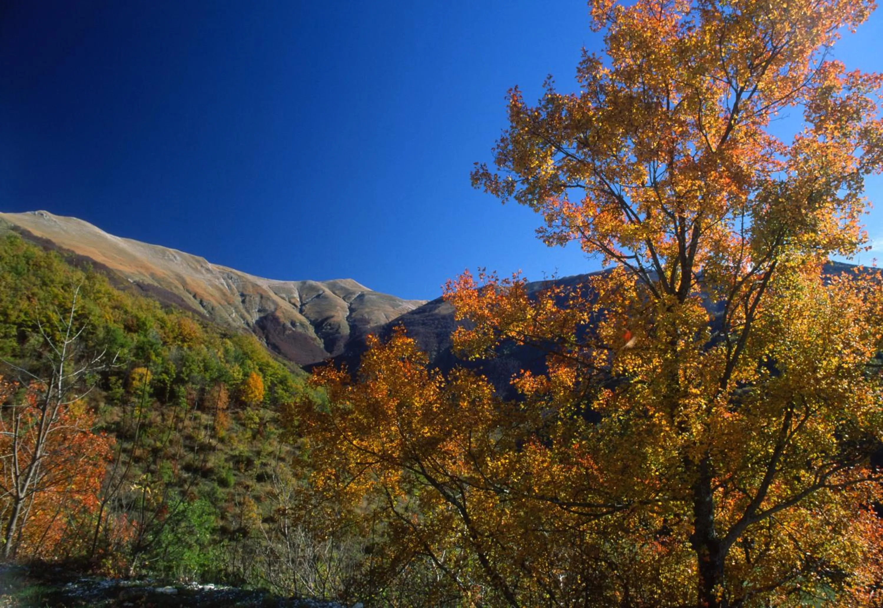 Day in Hotel Il boschetto