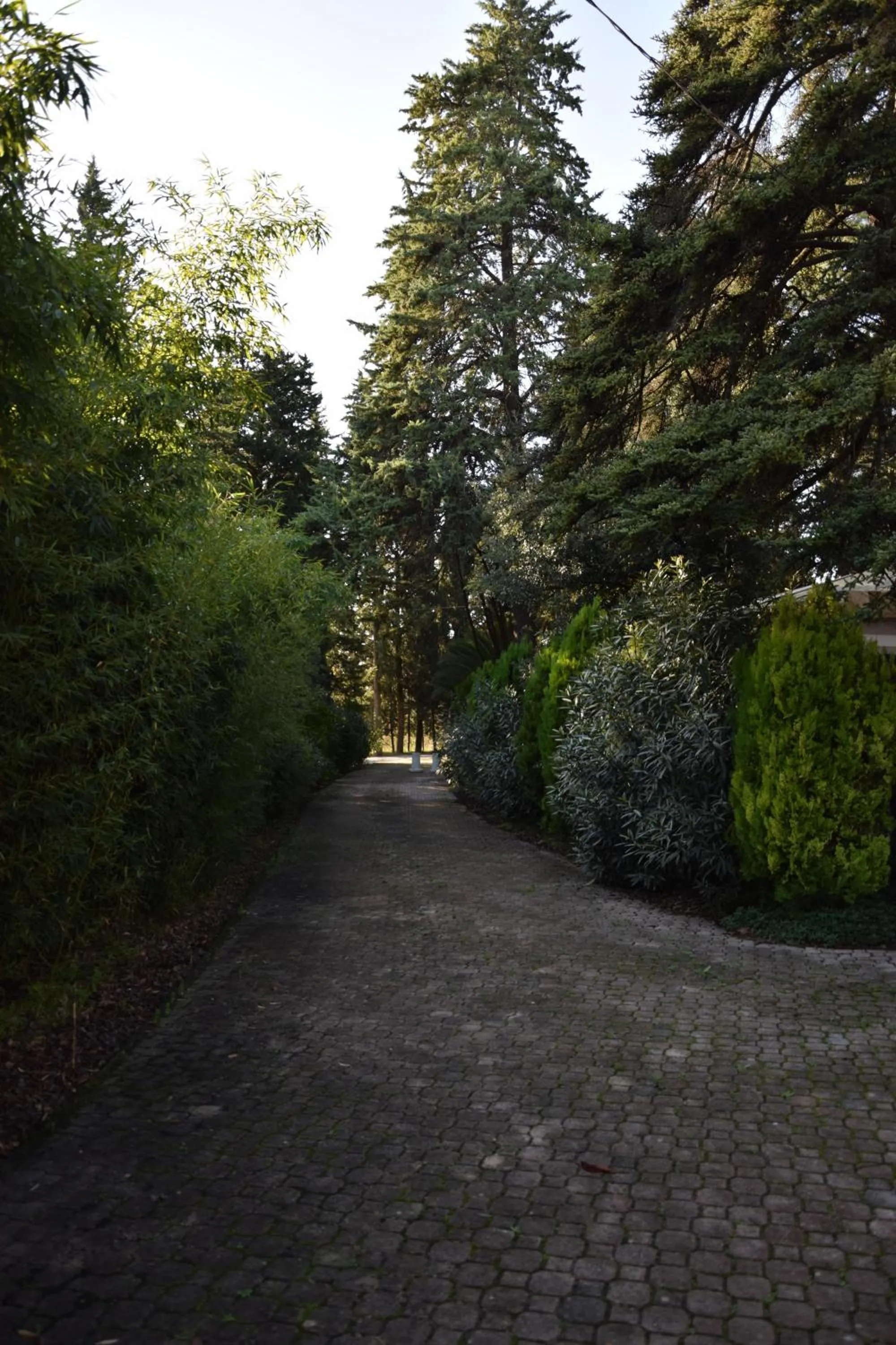 Other in Hotel Il boschetto