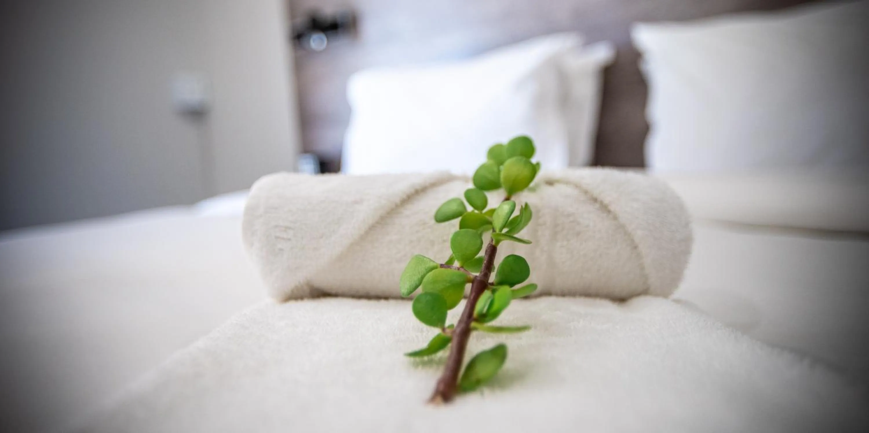 Bed in Woodbridge Lodge