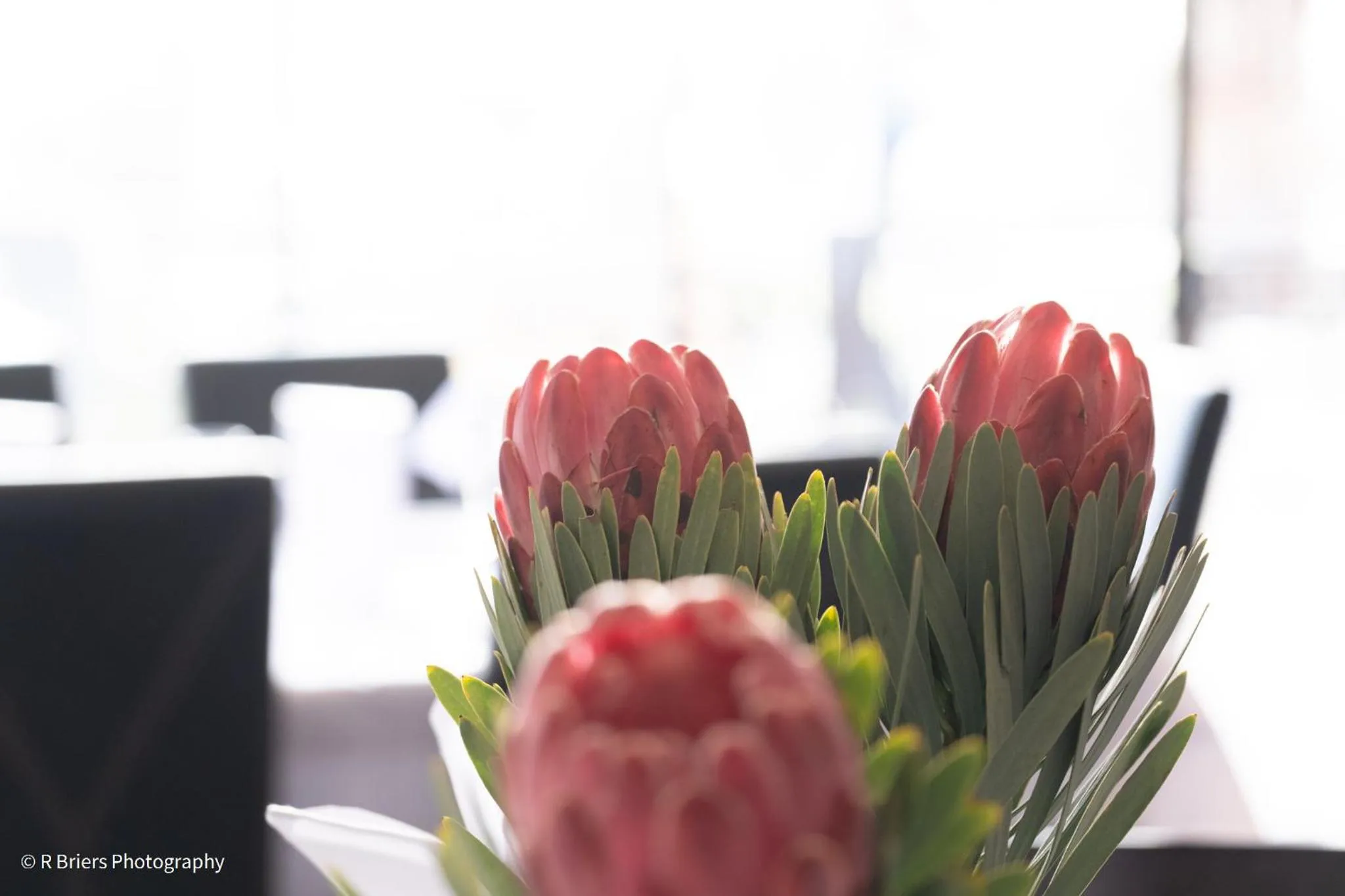 Dining area in Woodbridge Lodge