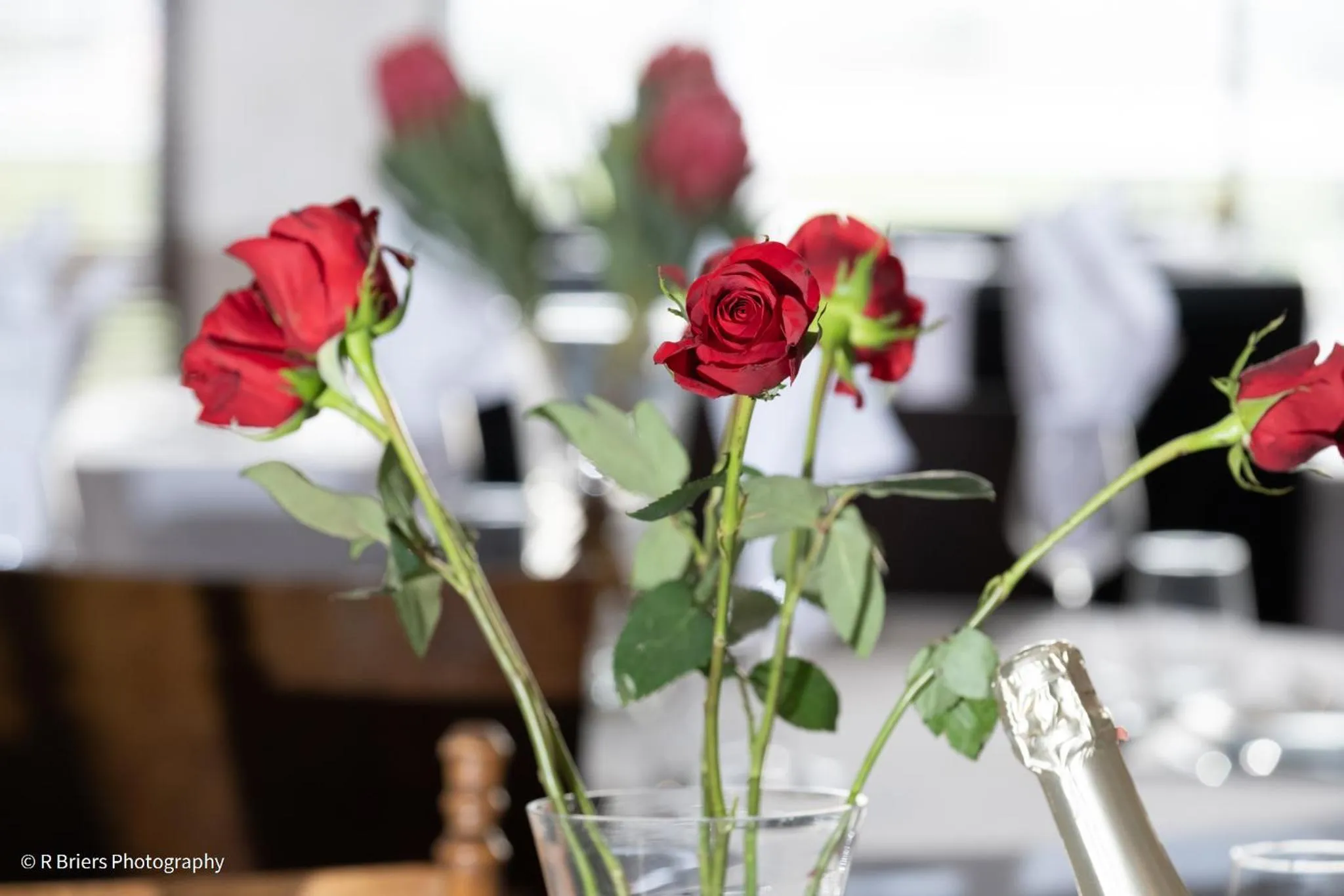 Restaurant/places to eat in Woodbridge Lodge