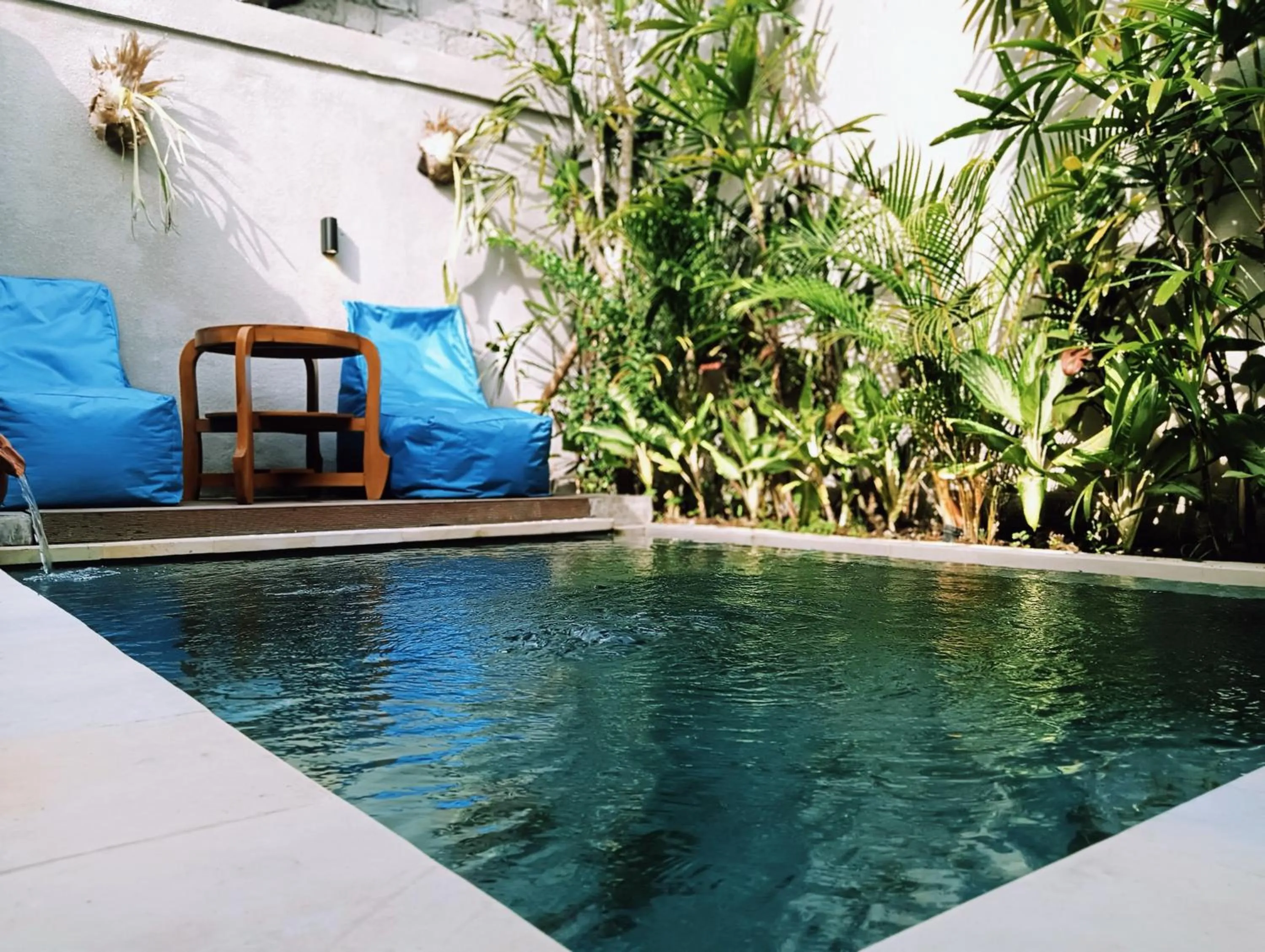 Garden in Ngesil Private Joglo & Pool