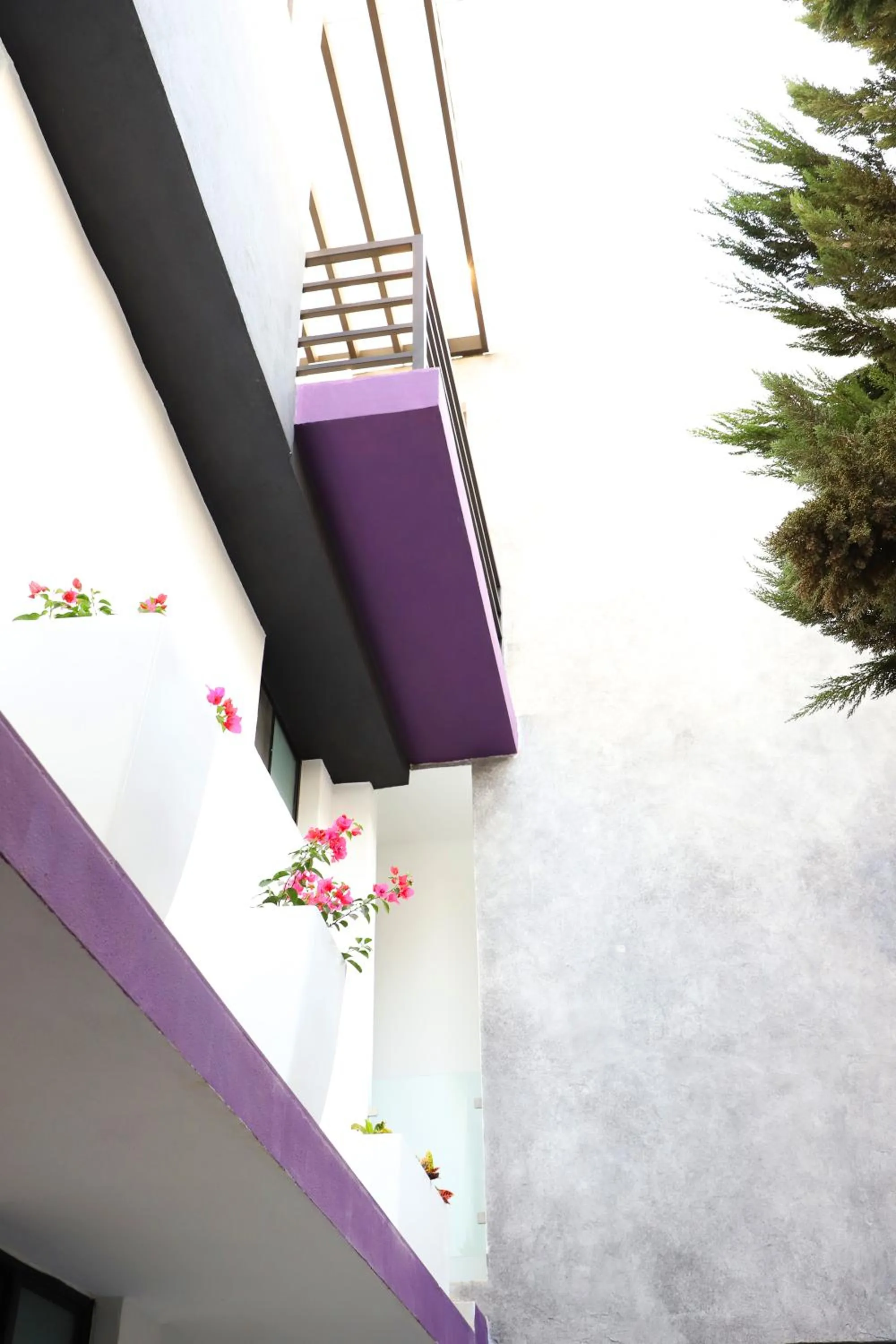 Patio in Hotel Tepeyac 402 León Calzada